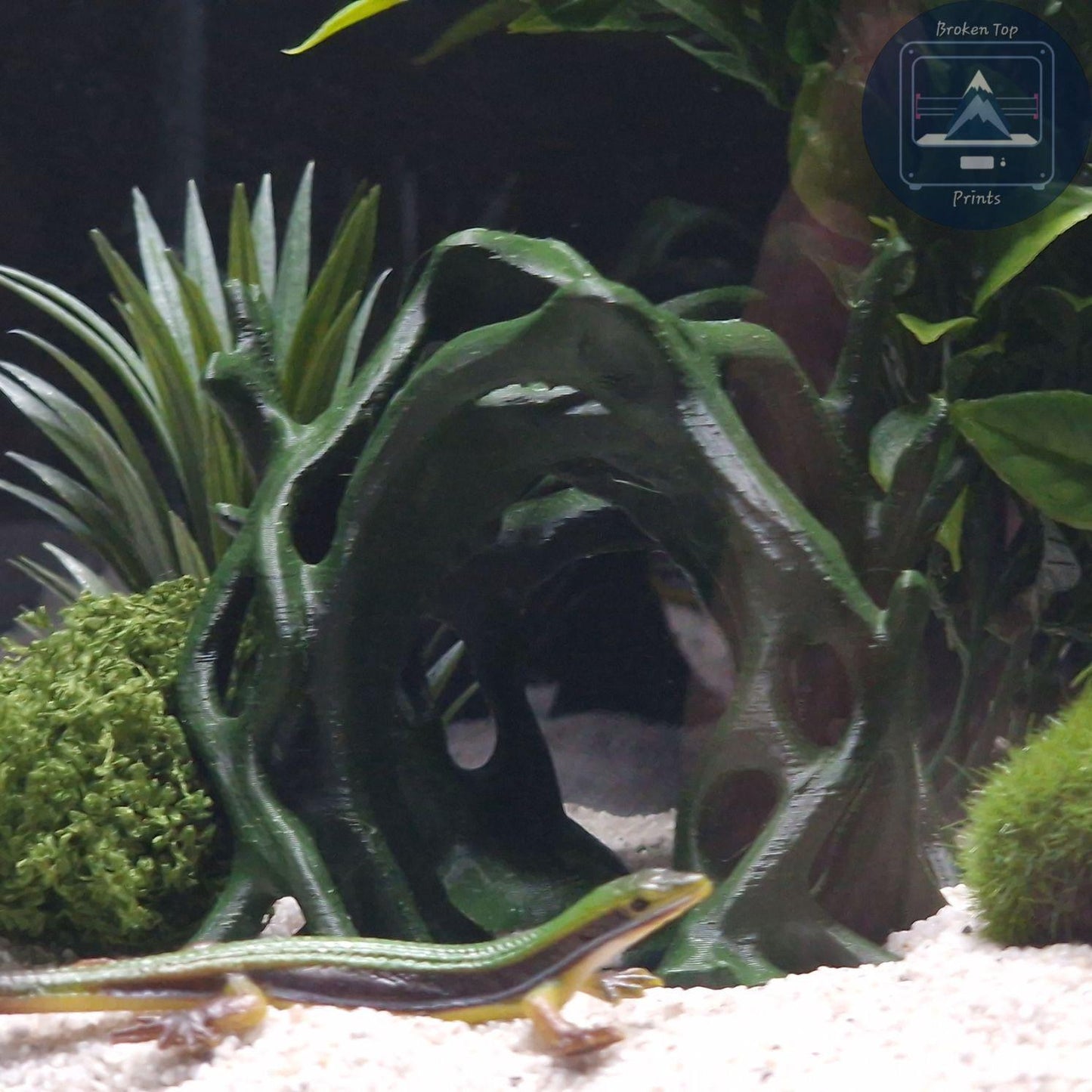 Aquascape Tunnel Cave: 3D Printed Aquarium Terrarium Archway, for Fish Shrimp Reptile, (Natural Forest Style Decor) Hardscape Tank Ornament