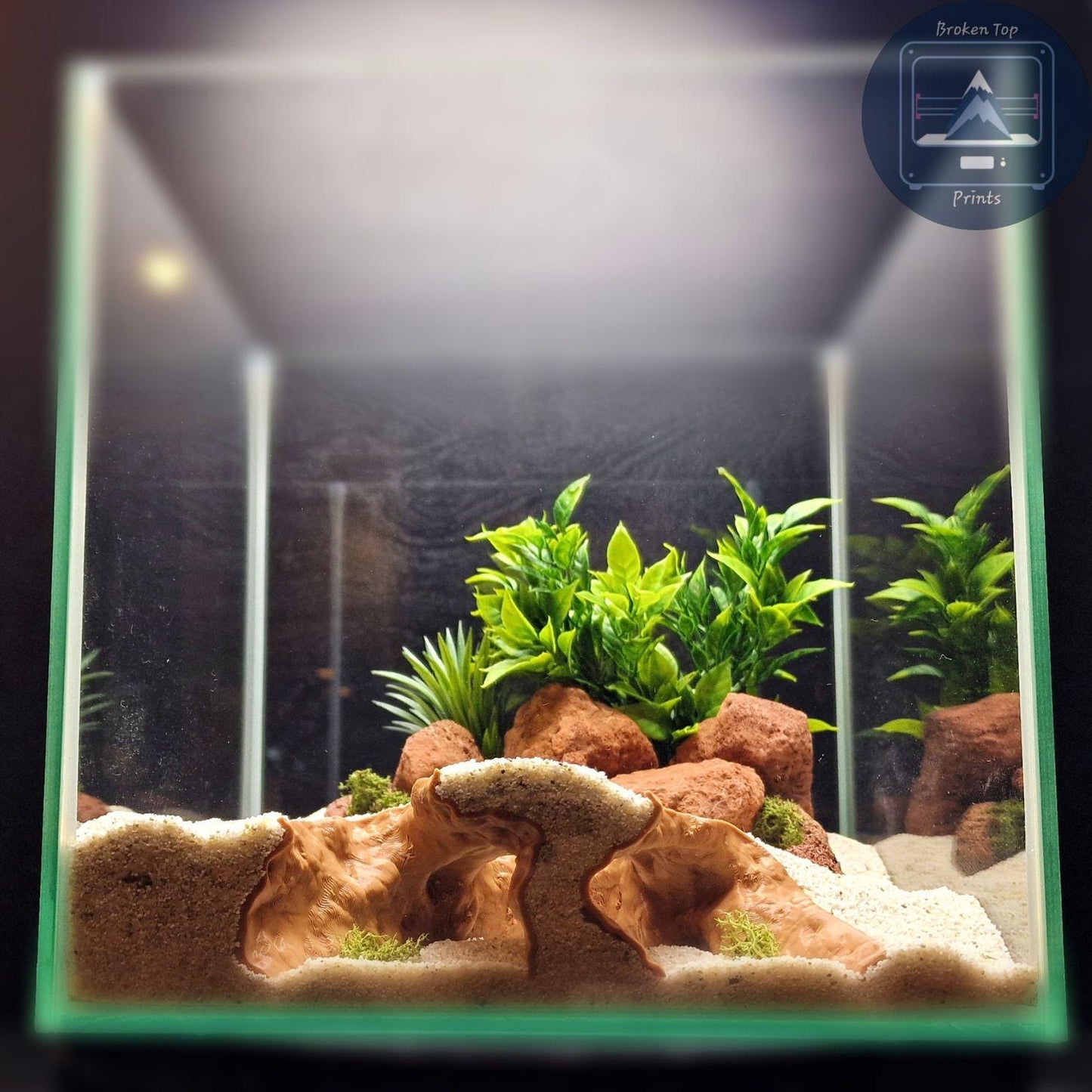 Reef Cave Aquarium and Terrarium Decor: for Fish Shrimp Reptile (Coral Style Hideout Tank Ornament) Hardscape 3D Printed Sculpture