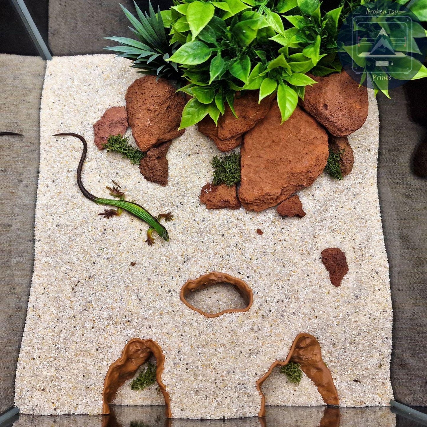 Reef Cave Aquarium and Terrarium Decor: for Fish Shrimp Reptile (Coral Style Hideout Tank Ornament) Hardscape 3D Printed Sculpture