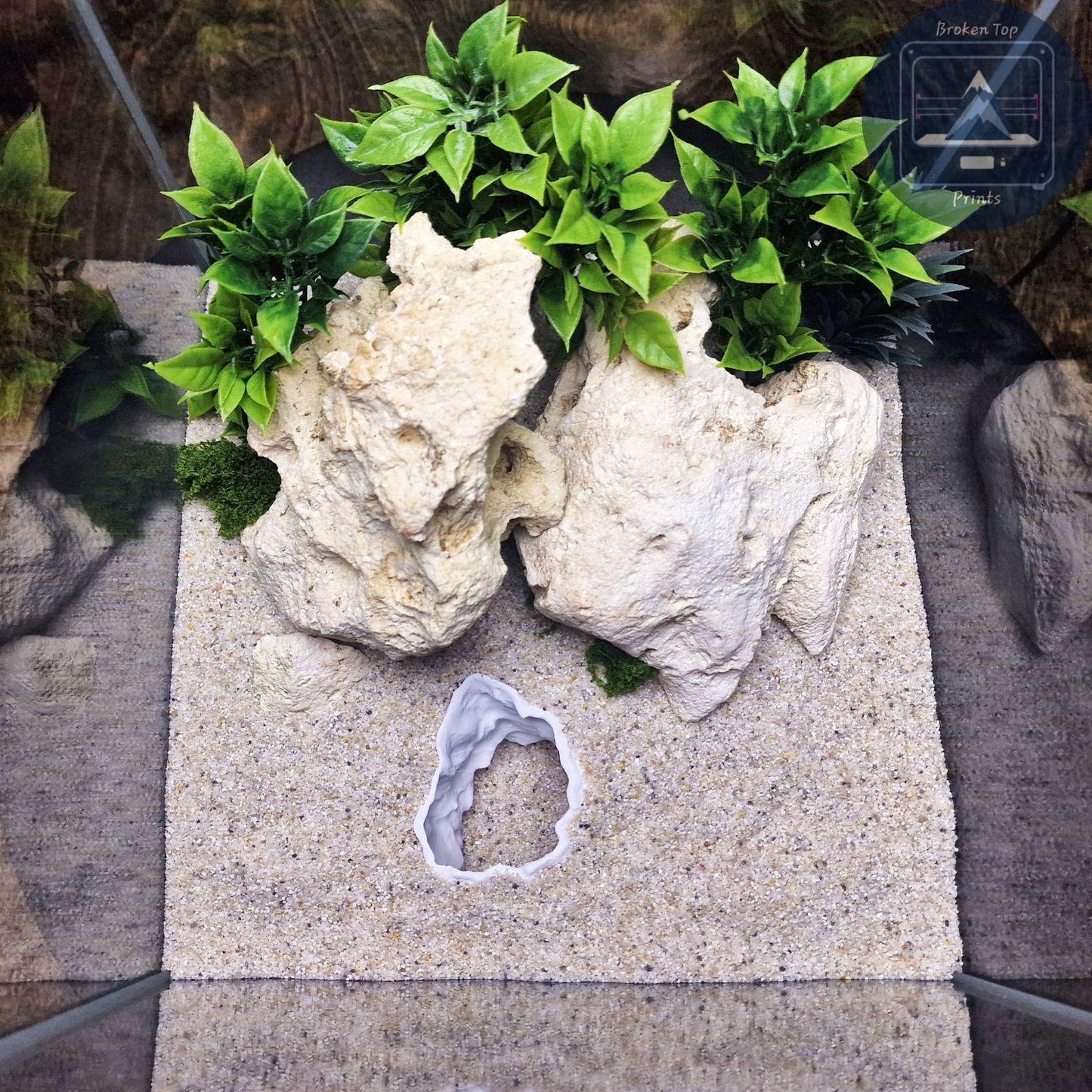 Aquaform Den – Substrate Tunnel Cave for Aquarium | 3D Printed Fish Shrimp Hide | Natural Hardscape Aquascape Decor | Safe Tank Shelter
