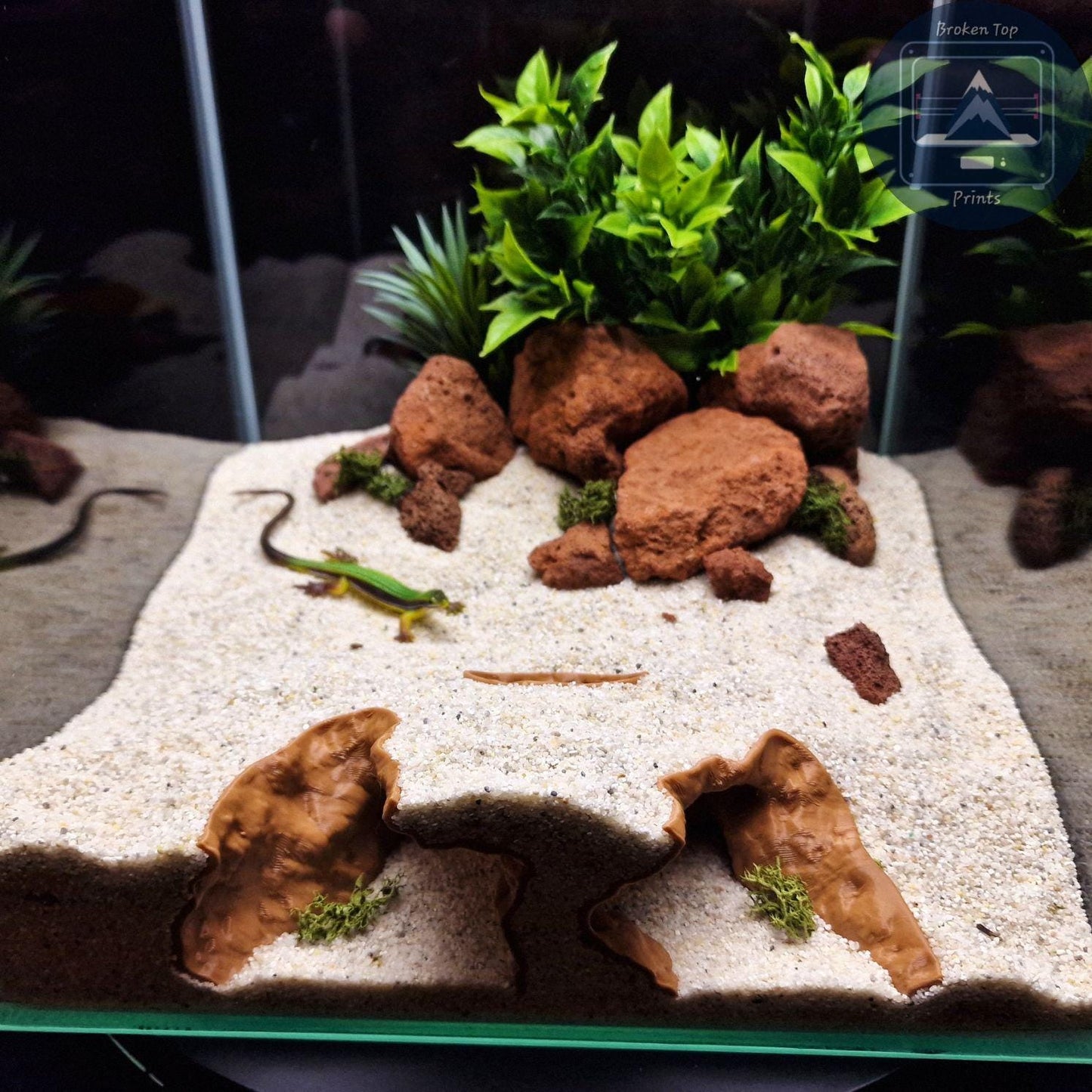 Reef Cave Aquarium and Terrarium Decor: for Fish Shrimp Reptile (Coral Style Hideout Tank Ornament) Hardscape 3D Printed Sculpture