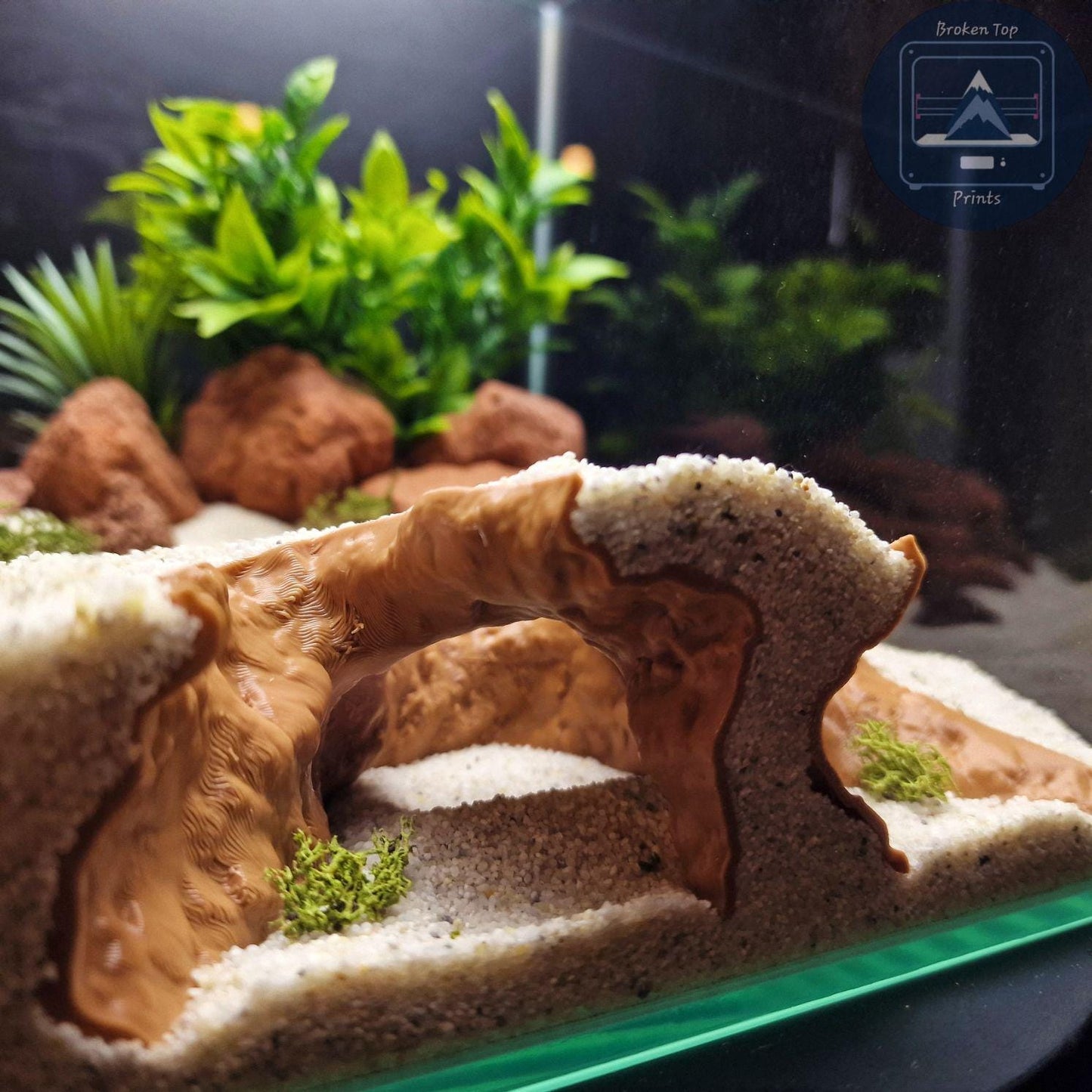 Reef Cave Aquarium and Terrarium Decor: for Fish Shrimp Reptile (Coral Style Hideout Tank Ornament) Hardscape 3D Printed Sculpture