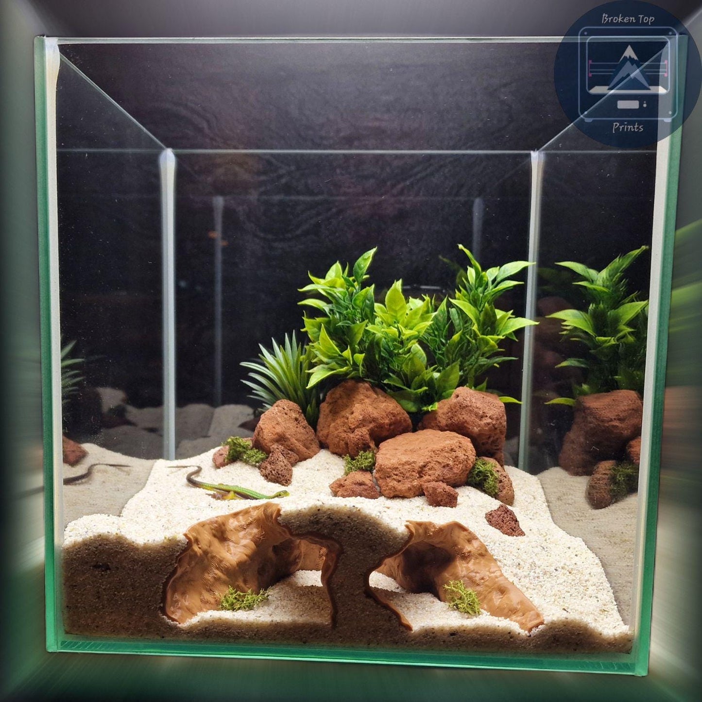 Reef Cave Aquarium and Terrarium Decor: for Fish Shrimp Reptile (Coral Style Hideout Tank Ornament) Hardscape 3D Printed Sculpture