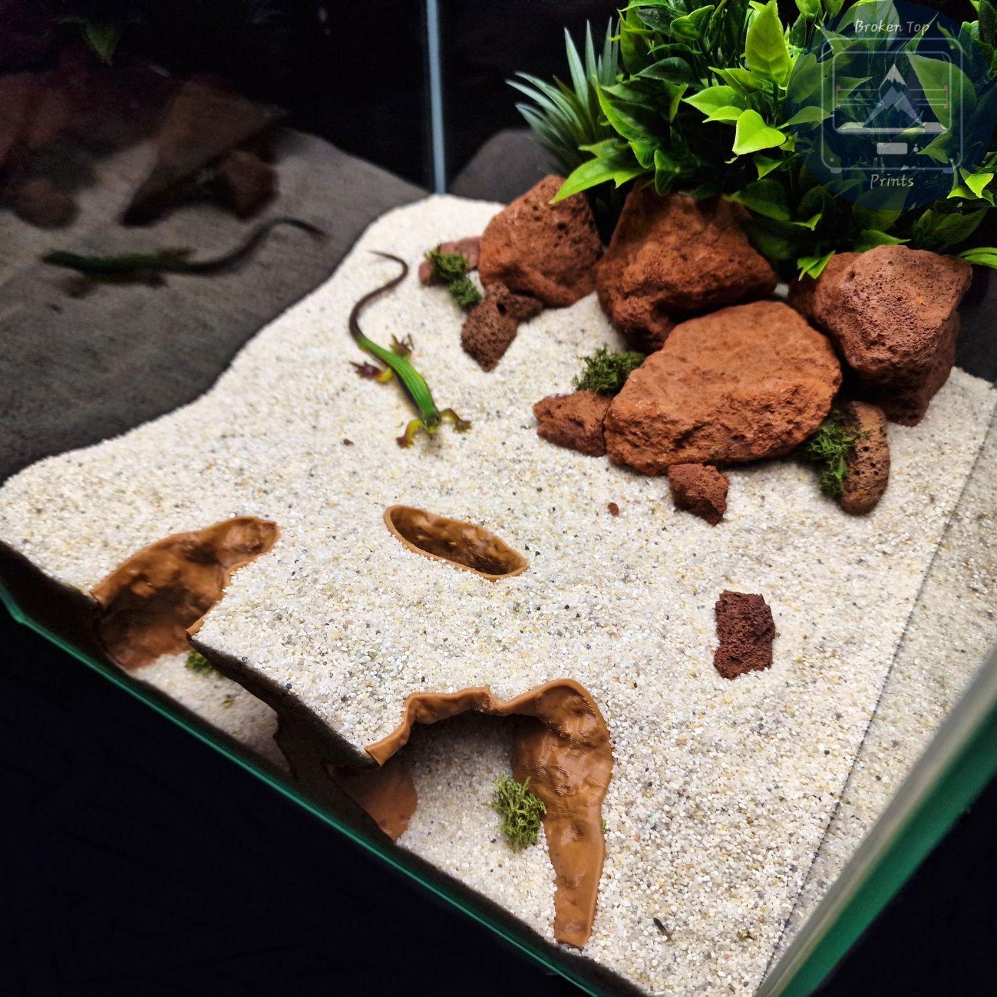 Reef Cave Aquarium and Terrarium Decor: for Fish Shrimp Reptile (Coral Style Hideout Tank Ornament) Hardscape 3D Printed Sculpture