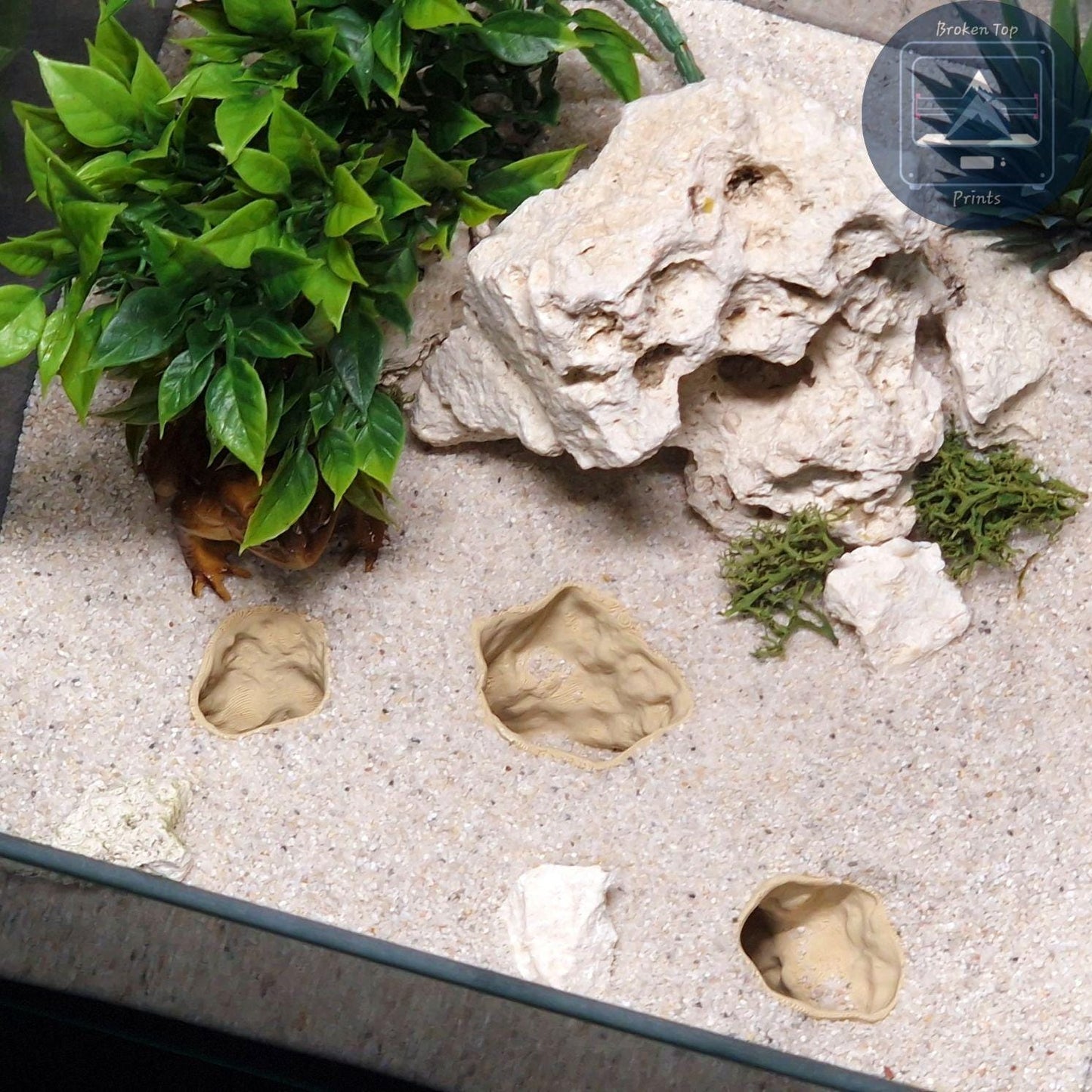 Aquarium Terrarium 3d print cave - Catacombs Decor, Fish, Shrimp and Reptile Hide, Durable and Aesthetic Tank Centerpiece