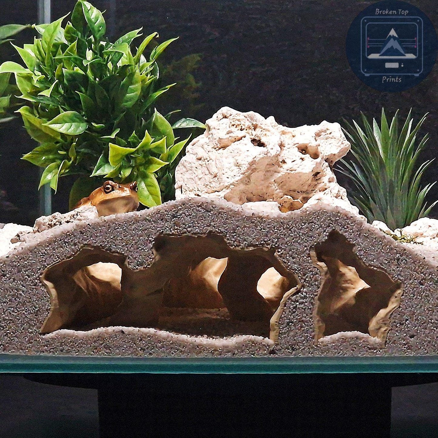 Aquarium Terrarium 3d print cave - Catacombs Decor, Fish, Shrimp and Reptile Hide, Durable and Aesthetic Tank Centerpiece