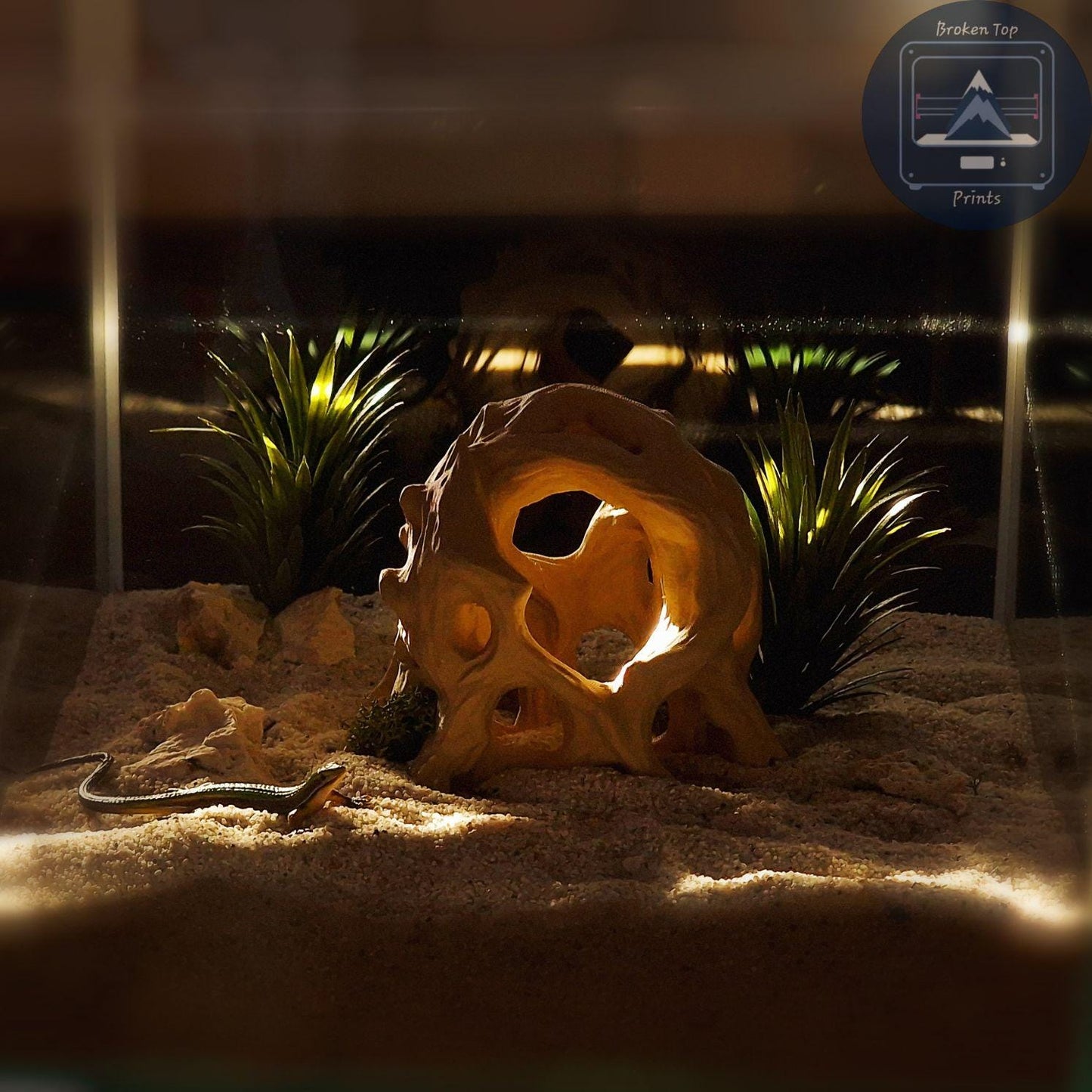3D Printed Aquarium Terrarium Hide: Ancient Root Decor, for Fish Shrimp Reptile, (Durable Natural Tank Cave Ornament Centerpiece)