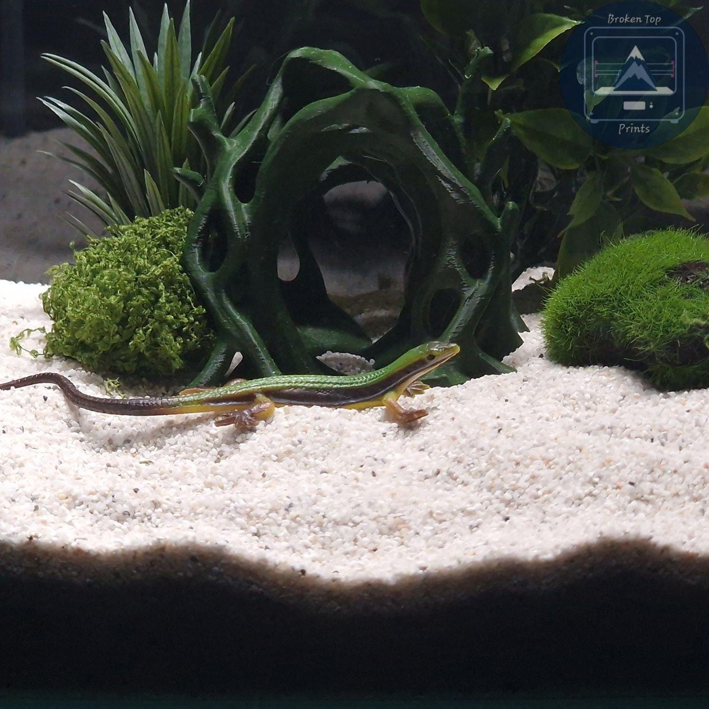 Aquascape Tunnel Cave: 3D Printed Aquarium Terrarium Archway, for Fish Shrimp Reptile, (Natural Forest Style Decor) Hardscape Tank Ornament