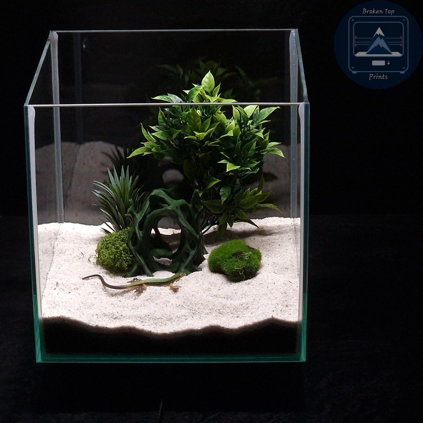 Aquascape Tunnel Cave: 3D Printed Aquarium Terrarium Archway, for Fish Shrimp Reptile, (Natural Forest Style Decor) Hardscape Tank Ornament