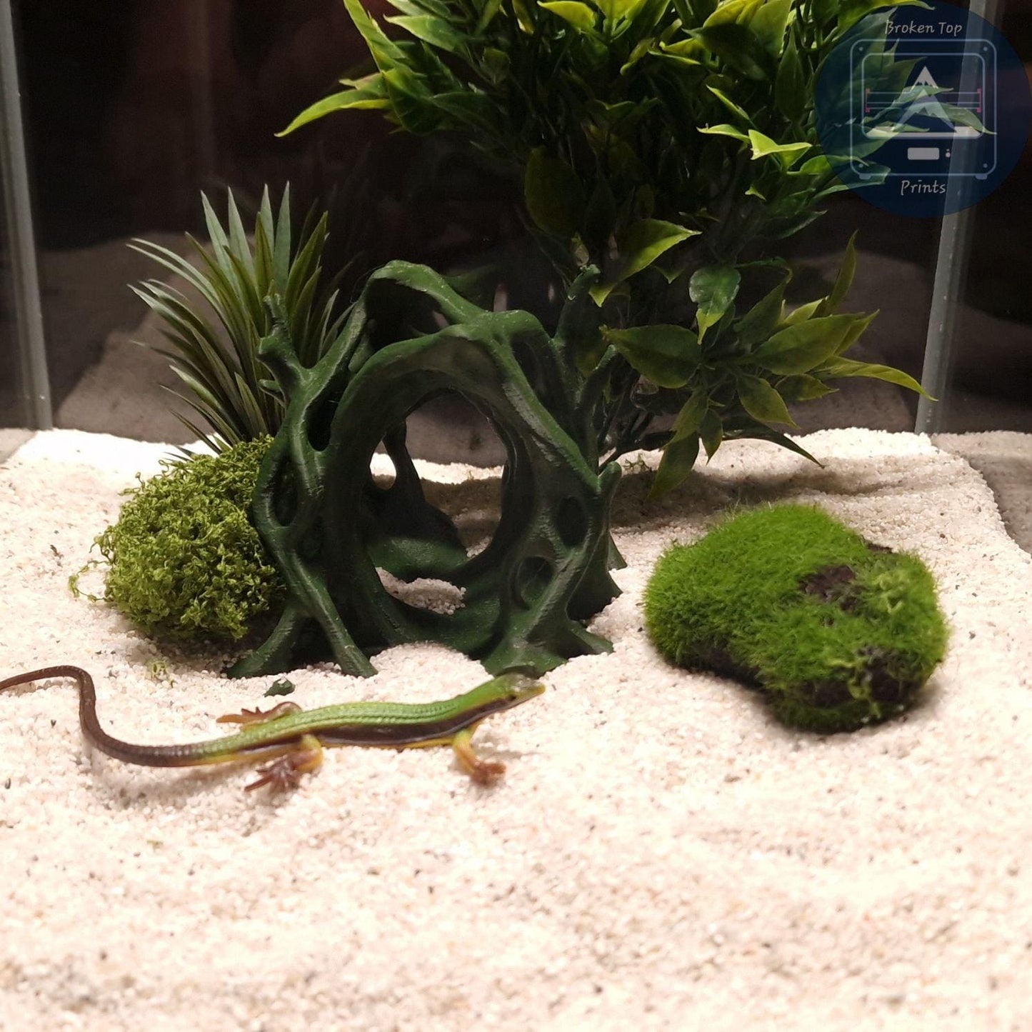 Aquascape Tunnel Cave: 3D Printed Aquarium Terrarium Archway, for Fish Shrimp Reptile, (Natural Forest Style Decor) Hardscape Tank Ornament