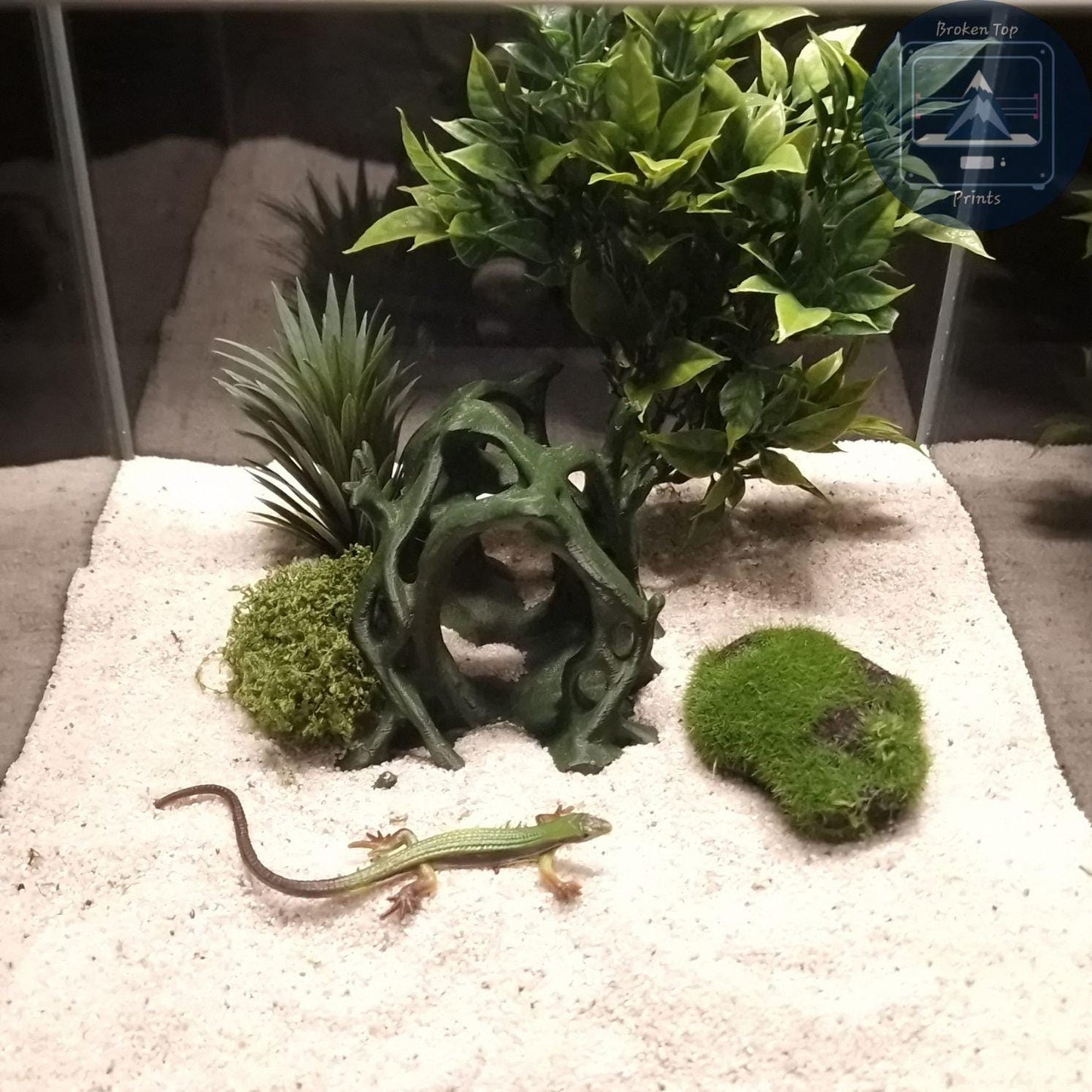 Aquascape Tunnel Cave: 3D Printed Aquarium Terrarium Archway, for Fish Shrimp Reptile, (Natural Forest Style Decor) Hardscape Tank Ornament