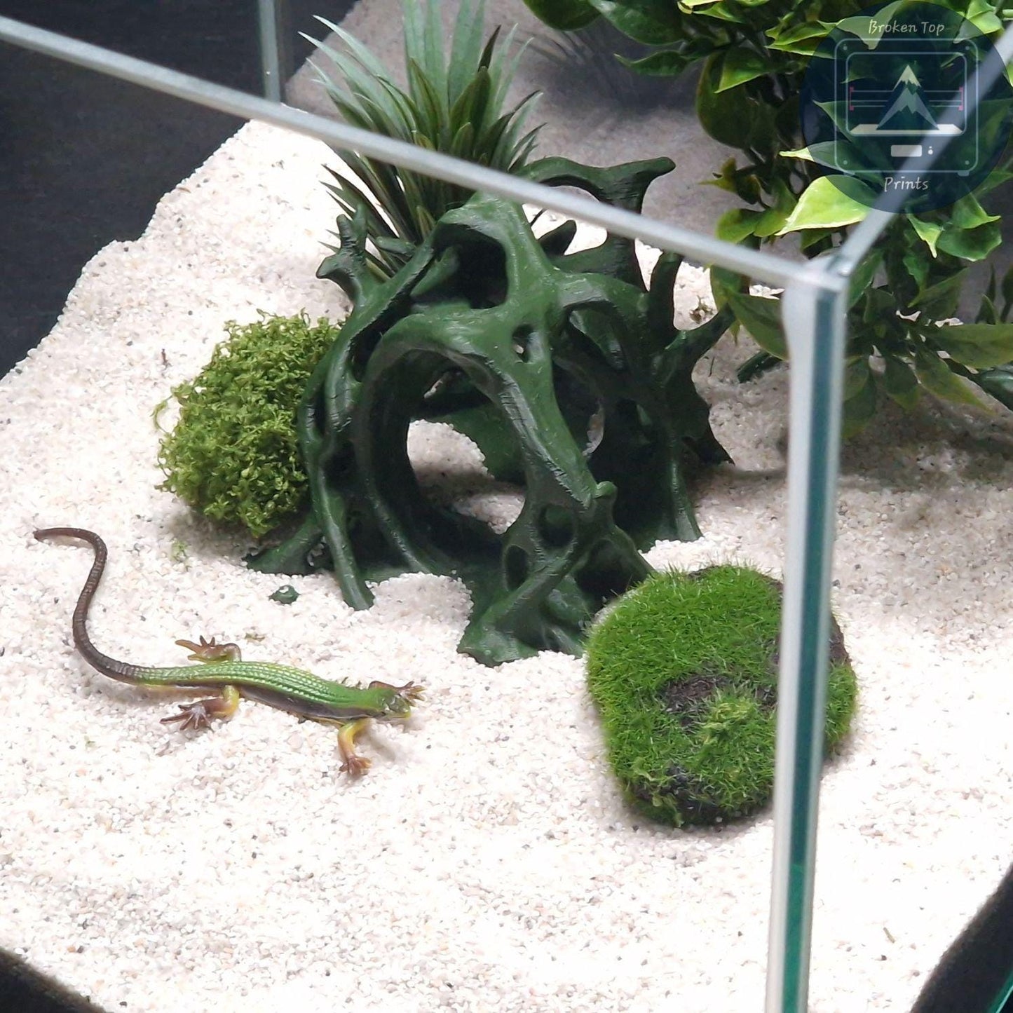 Aquascape Tunnel Cave: 3D Printed Aquarium Terrarium Archway, for Fish Shrimp Reptile, (Natural Forest Style Decor) Hardscape Tank Ornament