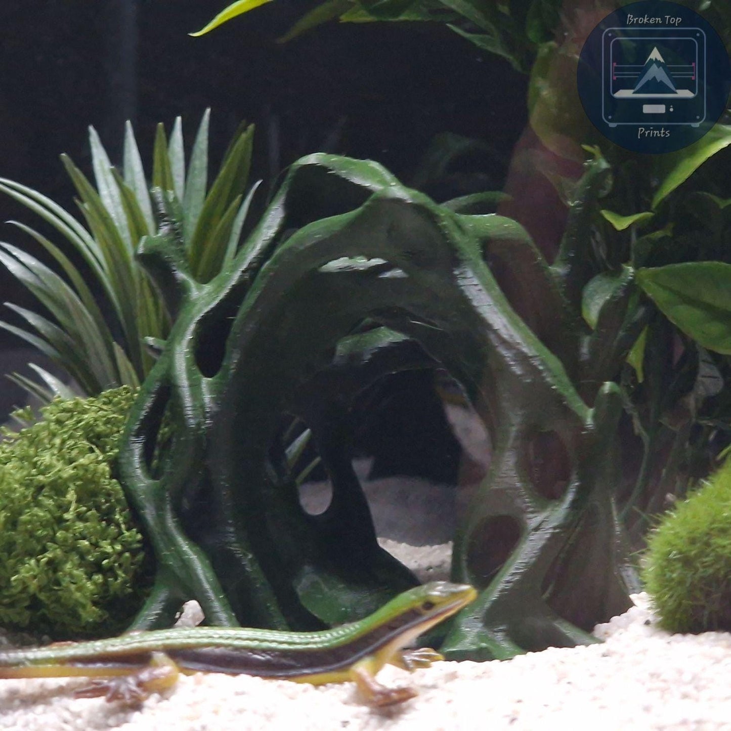 Aquascape Tunnel Cave: 3D Printed Aquarium Terrarium Archway, for Fish Shrimp Reptile, (Natural Forest Style Decor) Hardscape Tank Ornament