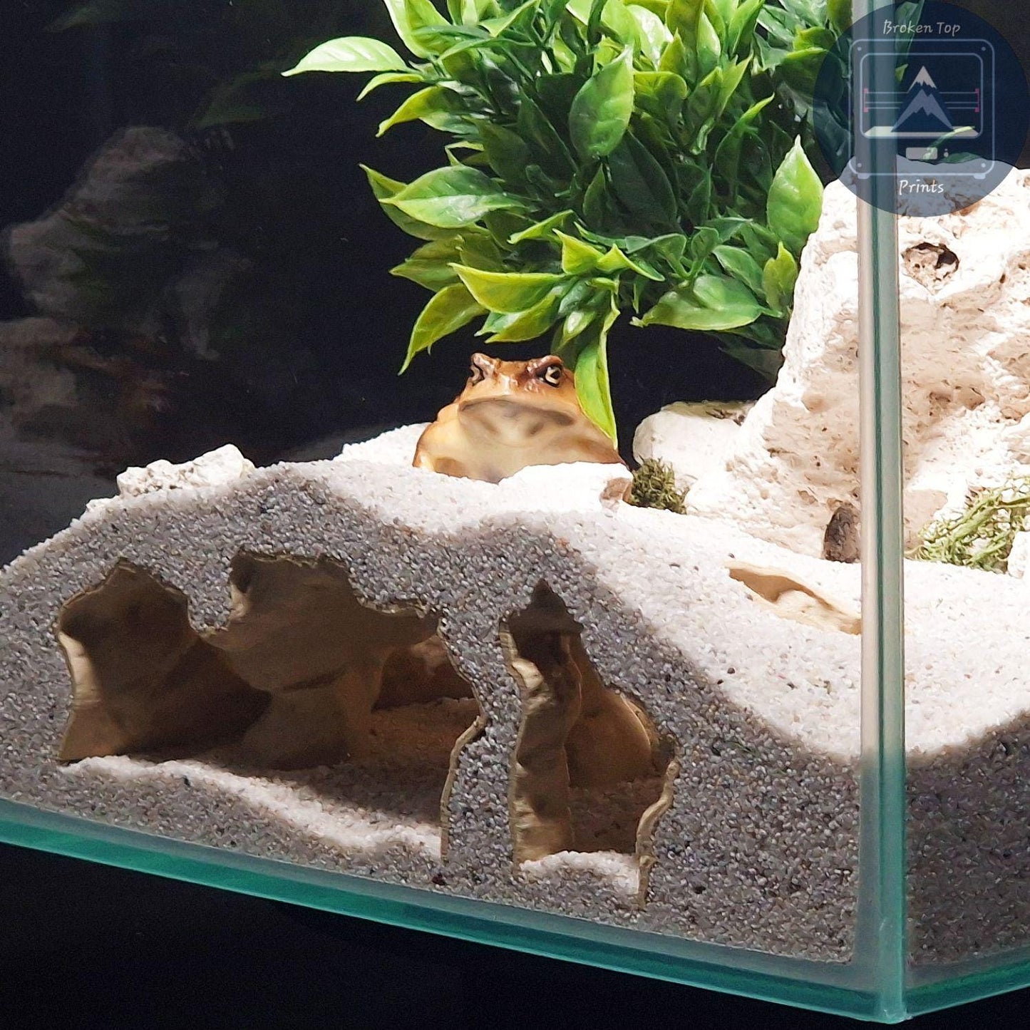 Aquarium Terrarium 3d print cave - Catacombs Decor, Fish, Shrimp and Reptile Hide, Durable and Aesthetic Tank Centerpiece