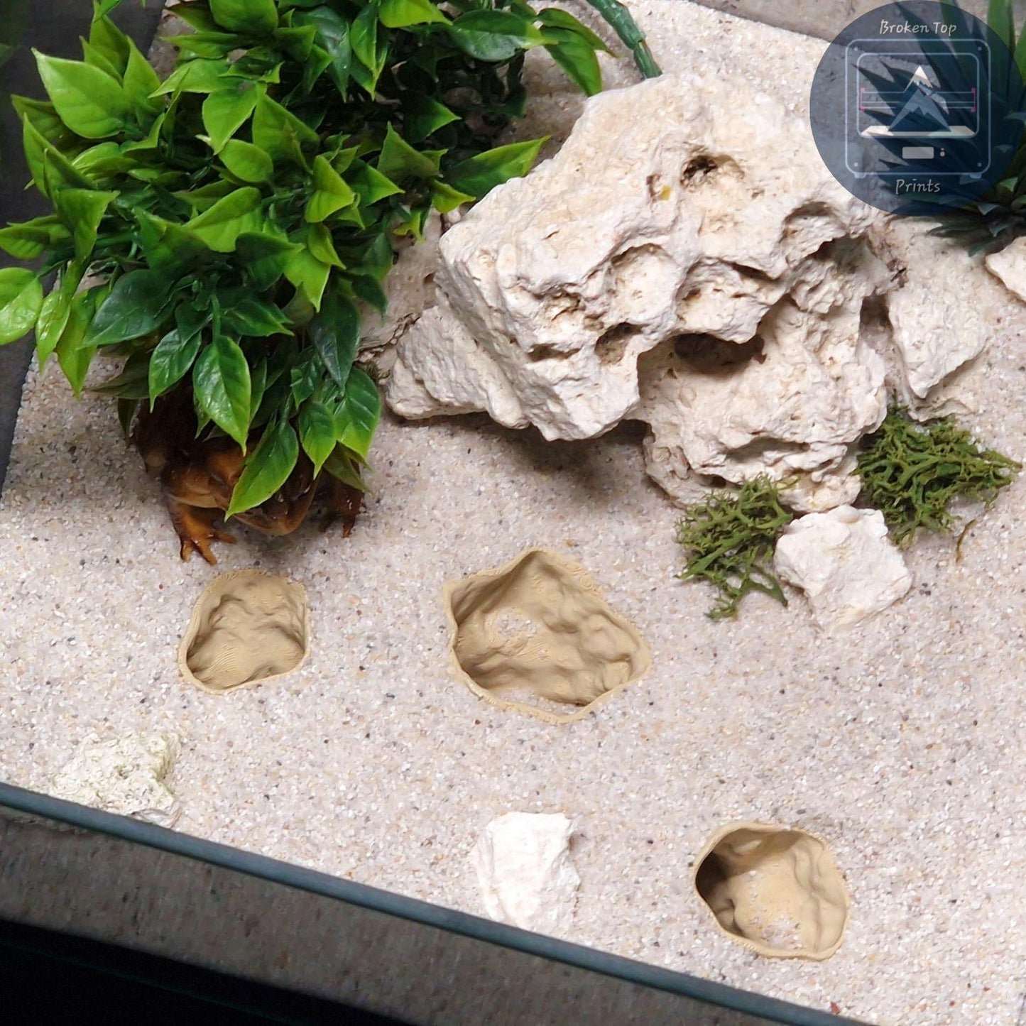 Aquarium Terrarium 3d print cave - Catacombs Decor, Fish, Shrimp and Reptile Hide, Durable and Aesthetic Tank Centerpiece