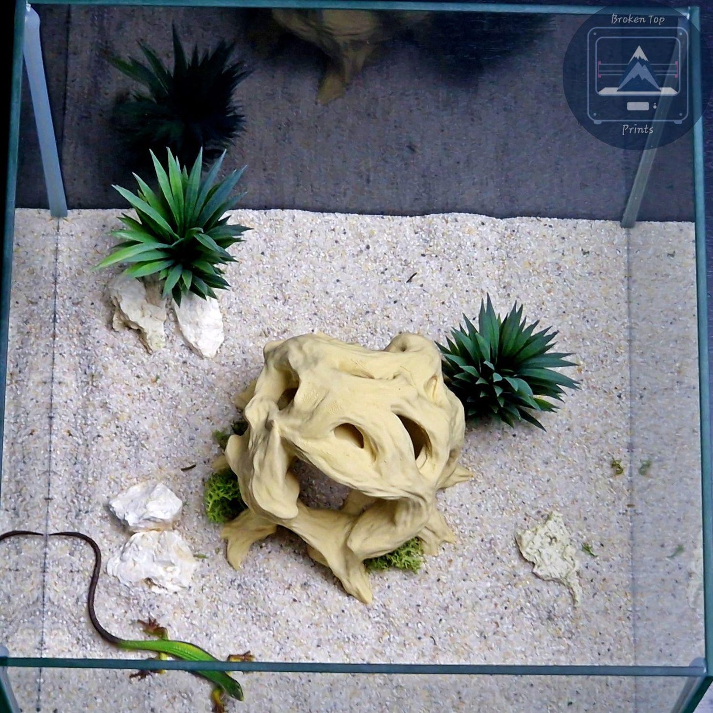 3D Printed Aquarium Terrarium Hide: Ancient Root Decor, for Fish Shrimp Reptile, (Durable Natural Tank Cave Ornament Centerpiece)