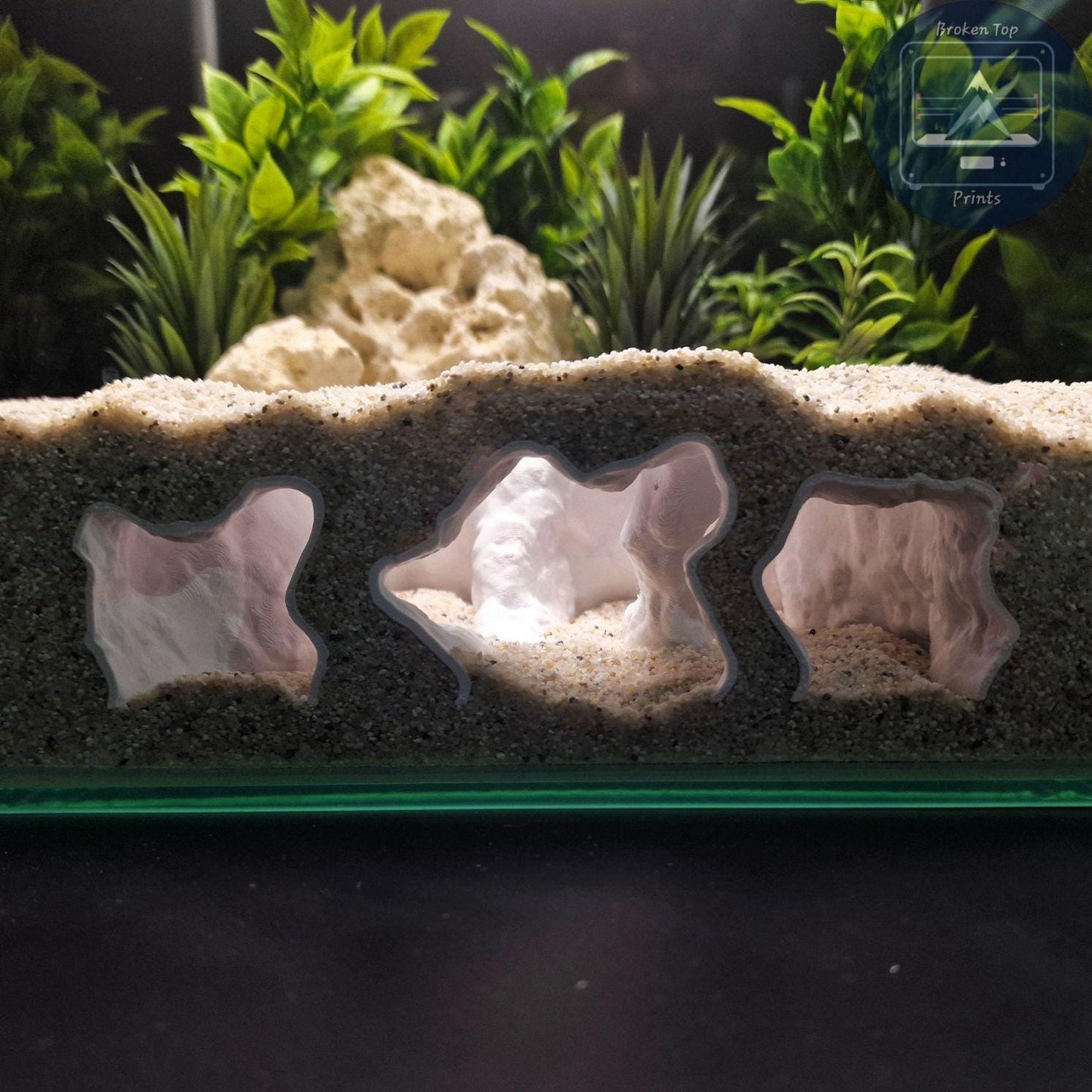 Aquarium Cave Tunnel Hide – Catacombs Hollow- 3D Printed Shelter for Fish, Shrimp & Reptiles