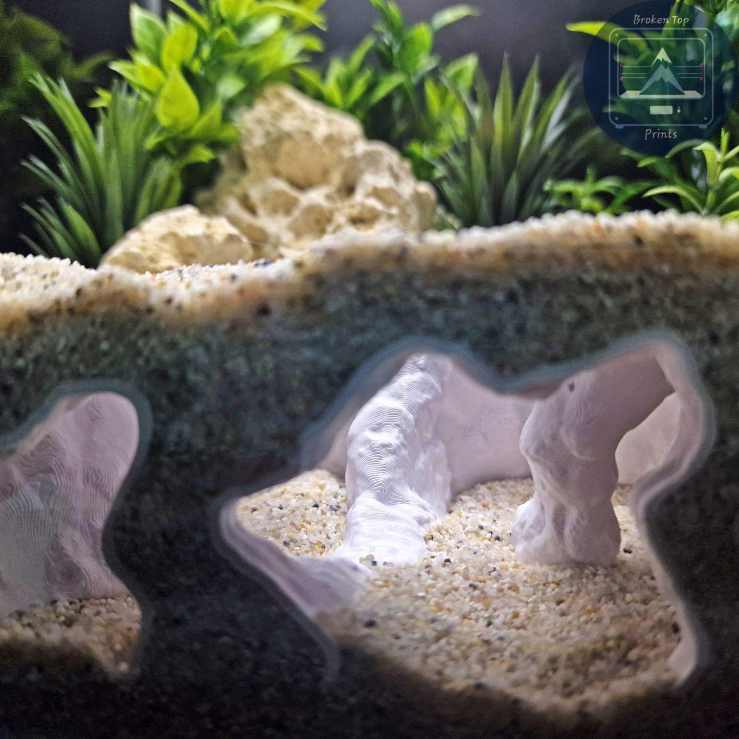 Aquarium Cave Tunnel Hide – Catacombs Hollow- 3D Printed Shelter for Fish, Shrimp & Reptiles