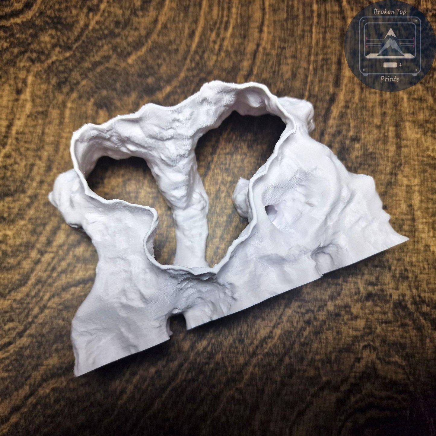Aquarium Cave Tunnel Hide – Catacombs Hollow- 3D Printed Shelter for Fish, Shrimp & Reptiles