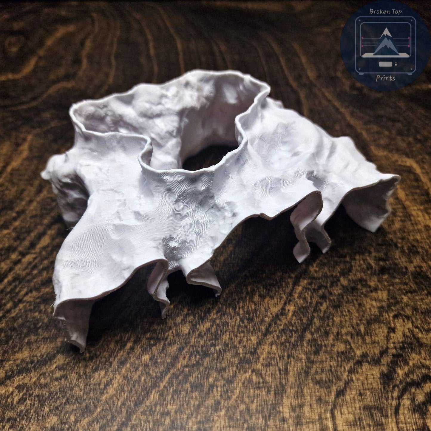 Aquarium Cave Tunnel Hide – Catacombs Hollow- 3D Printed Shelter for Fish, Shrimp & Reptiles