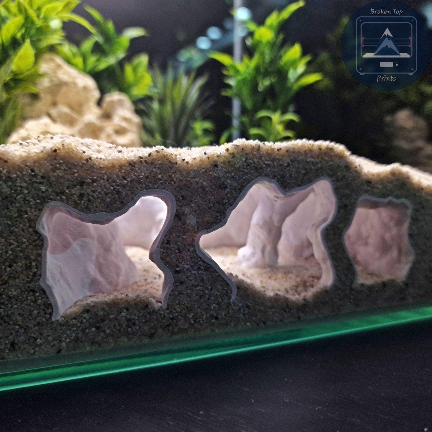 Aquarium Cave Tunnel Hide – Catacombs Hollow- 3D Printed Shelter for Fish, Shrimp & Reptiles