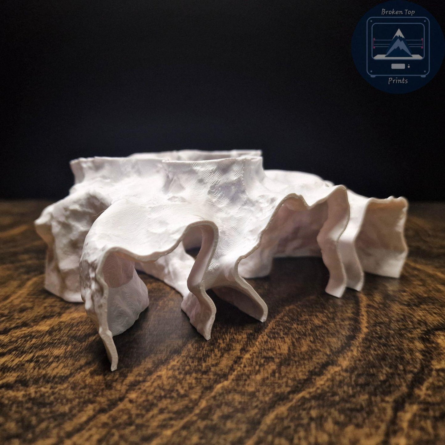 Aquarium Cave Tunnel Hide – Catacombs Hollow- 3D Printed Shelter for Fish, Shrimp & Reptiles