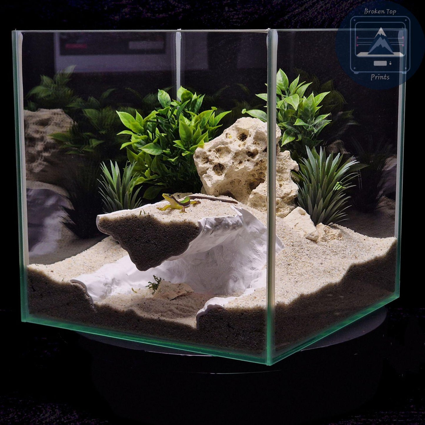 Echo Ridge Aquarium & Terrarium Cave Hideout, 3D Printed Ravine Style Tunnel for Fish Shrimp Reptiles, Natural Aquascape Decor