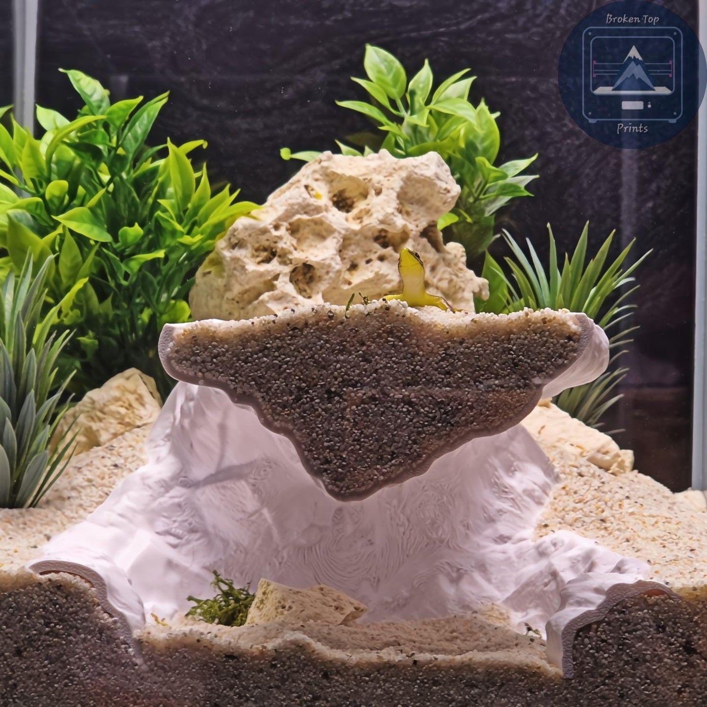Echo Ridge Aquarium & Terrarium Cave Hideout, 3D Printed Ravine Style Tunnel for Fish Shrimp Reptiles, Natural Aquascape Decor