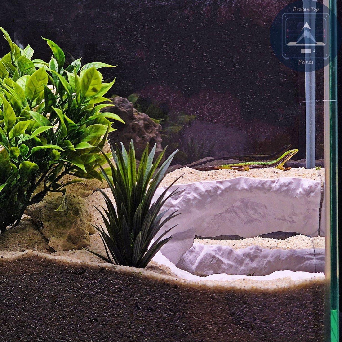 Echo Ridge Aquarium & Terrarium Cave Hideout, 3D Printed Ravine Style Tunnel for Fish Shrimp Reptiles, Natural Aquascape Decor