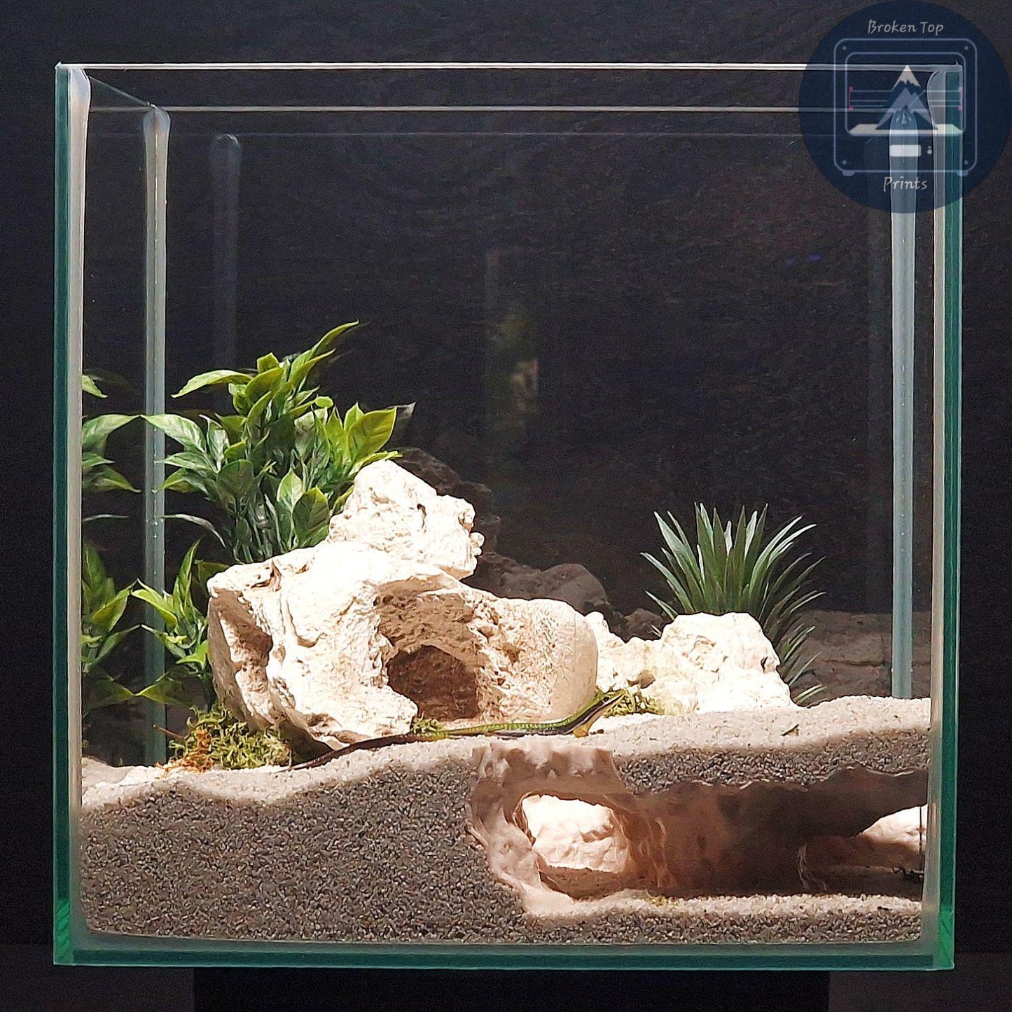Cave Hide Decor for Fish Shrimp Reptiles, 3D Printed Tunnel Hideout Aquascape Terrarium Feature – Windswept Cavern