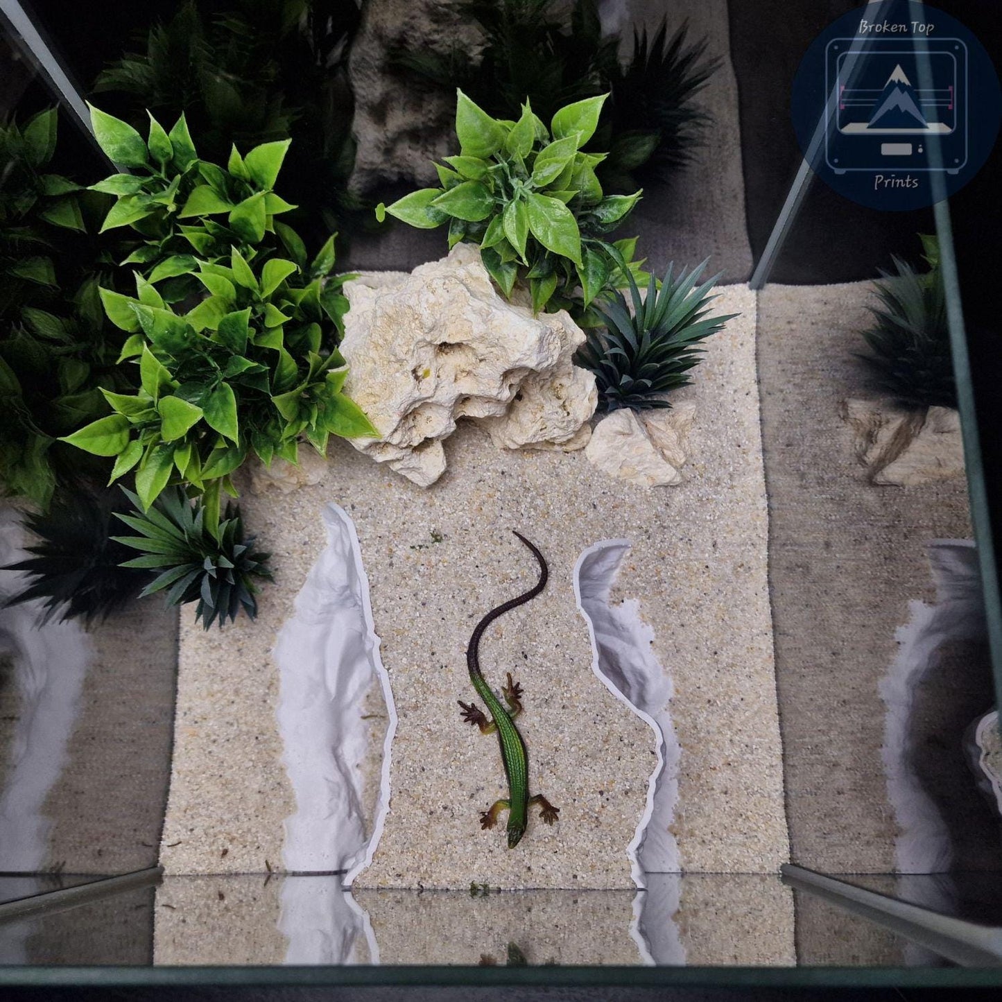 Echo Ridge Aquarium & Terrarium Cave Hideout, 3D Printed Ravine Style Tunnel for Fish Shrimp Reptiles, Natural Aquascape Decor