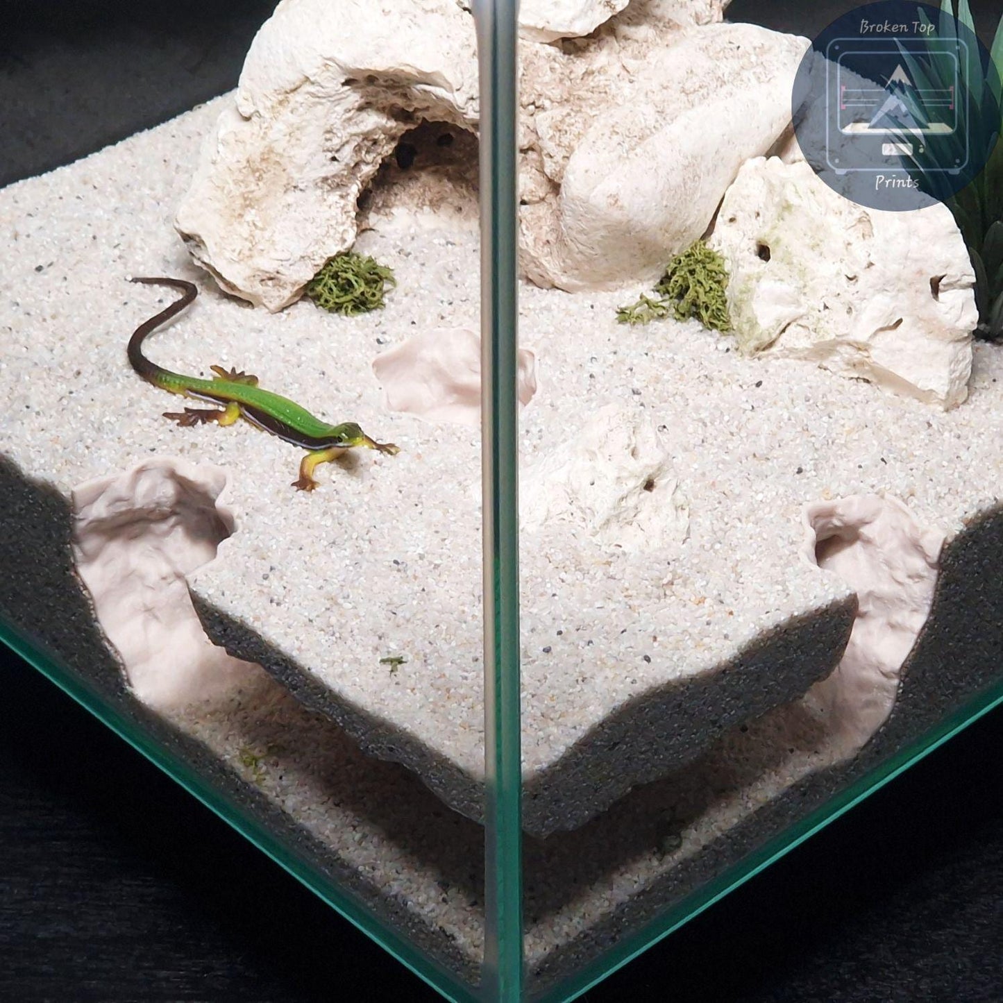 Cave Hide Decor for Fish Shrimp Reptiles, 3D Printed Tunnel Hideout Aquascape Terrarium Feature – Windswept Cavern