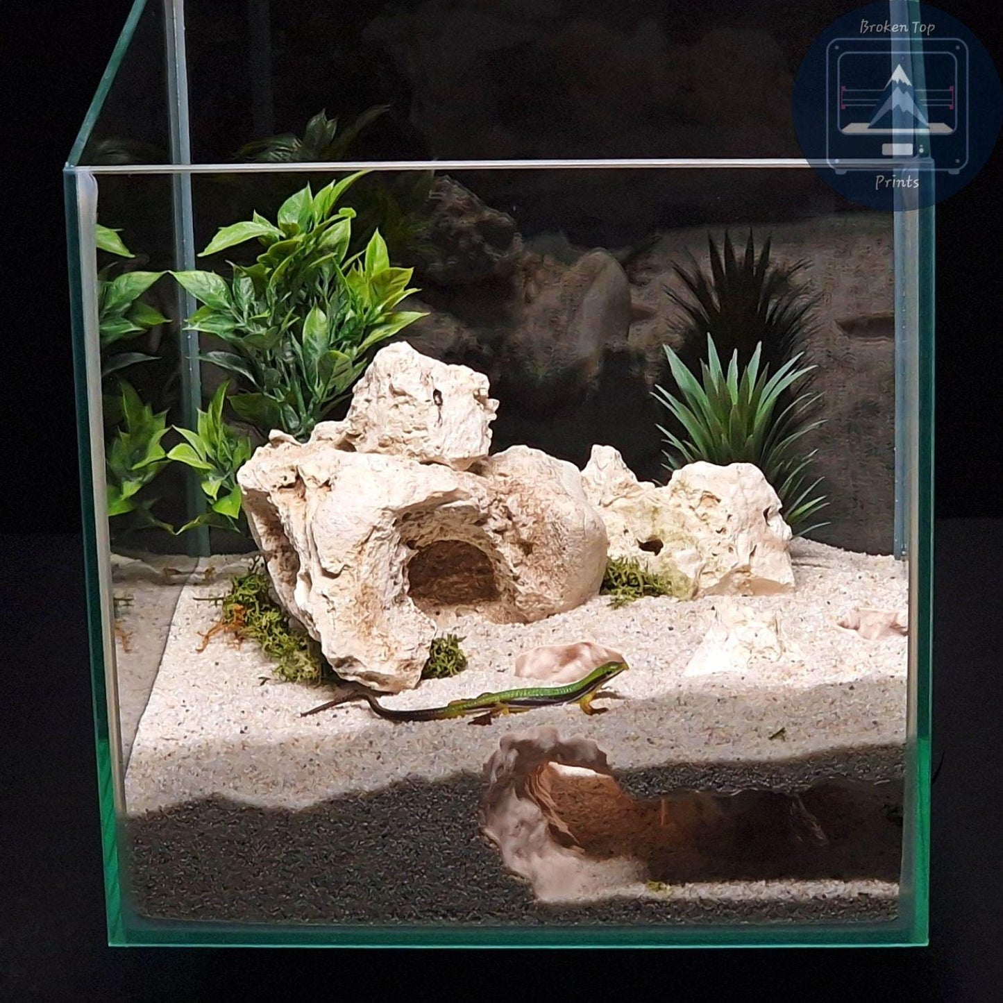 Cave Hide Decor for Fish Shrimp Reptiles, 3D Printed Tunnel Hideout Aquascape Terrarium Feature – Windswept Cavern