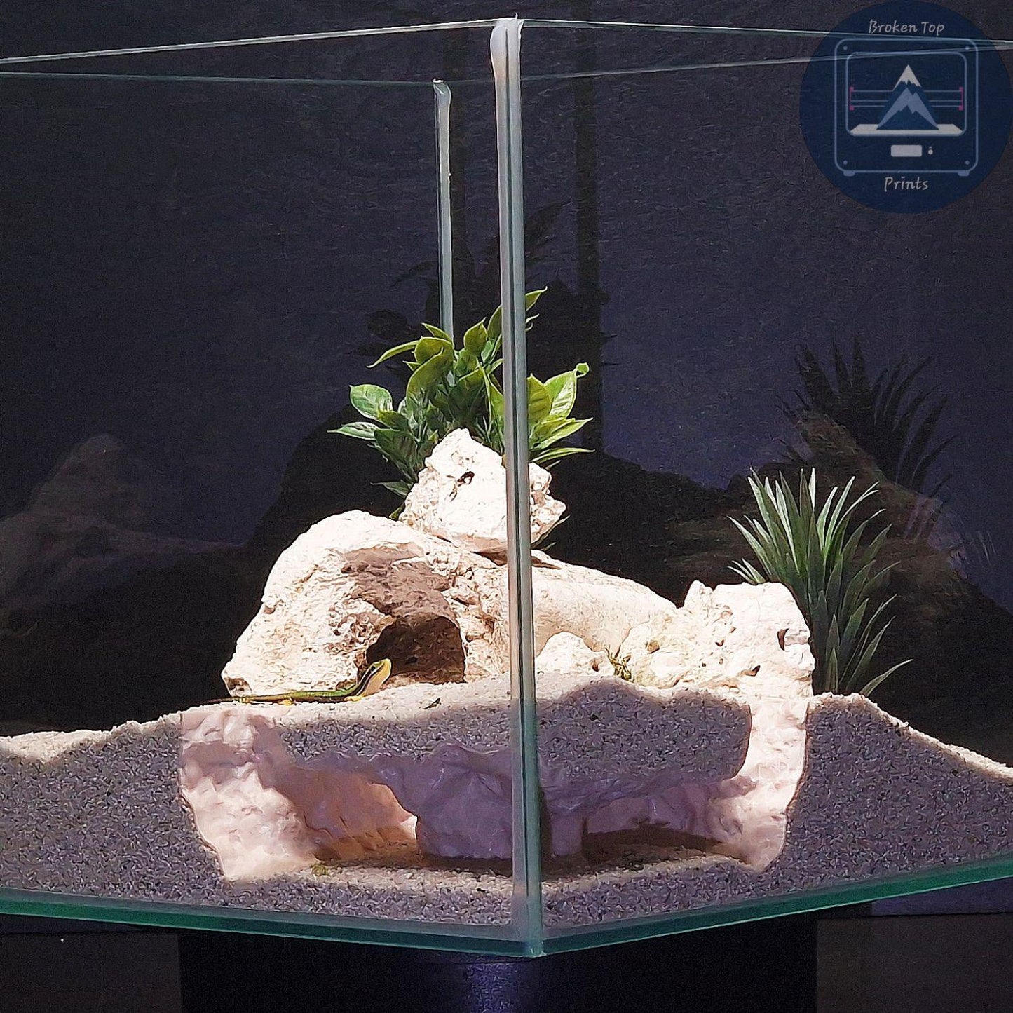 Cave Hide Decor for Fish Shrimp Reptiles, 3D Printed Tunnel Hideout Aquascape Terrarium Feature – Windswept Cavern