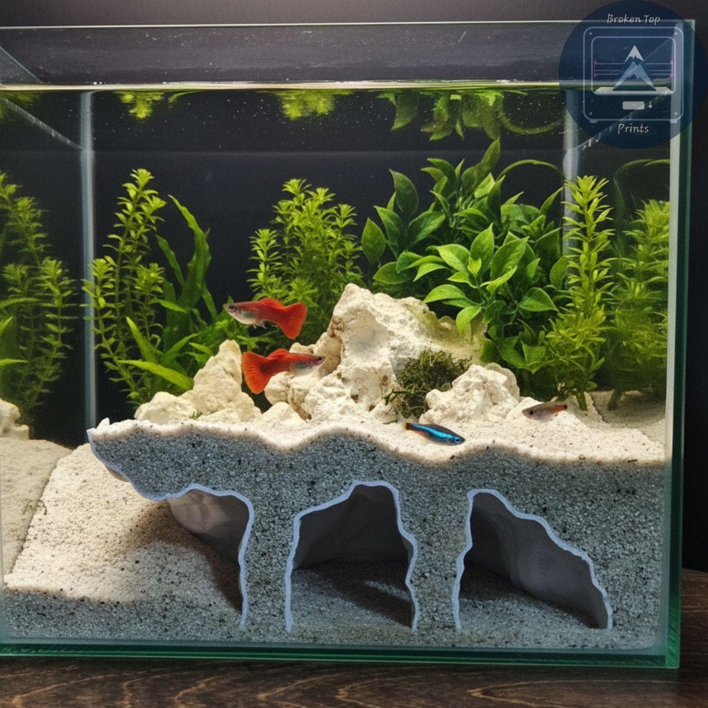 Aquarium Substrate Cave Tunnel – Orbit Grave Hide for Burrowing Fish, Shrimp & Reptiles | 3D Printed Shelter