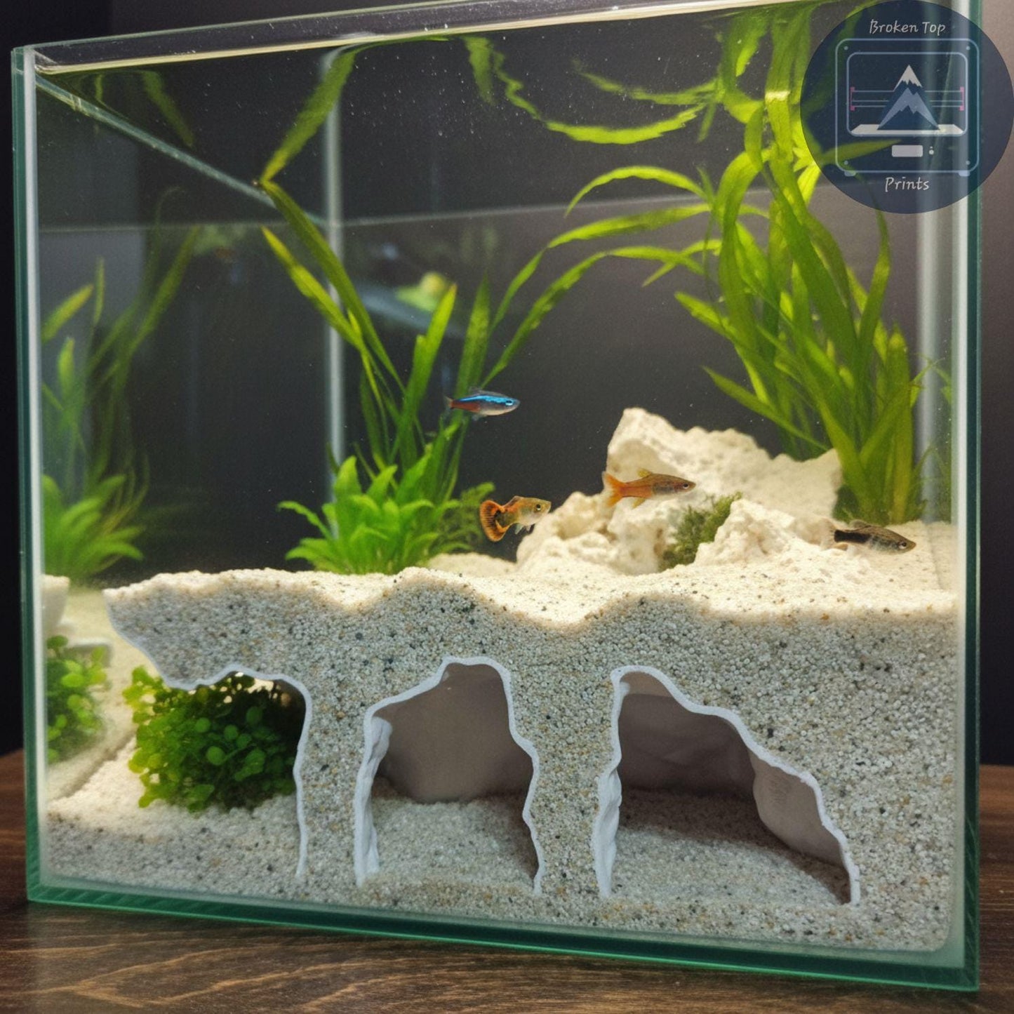 Aquarium Substrate Cave Tunnel – Orbit Grave Hide for Burrowing Fish, Shrimp & Reptiles | 3D Printed Shelter