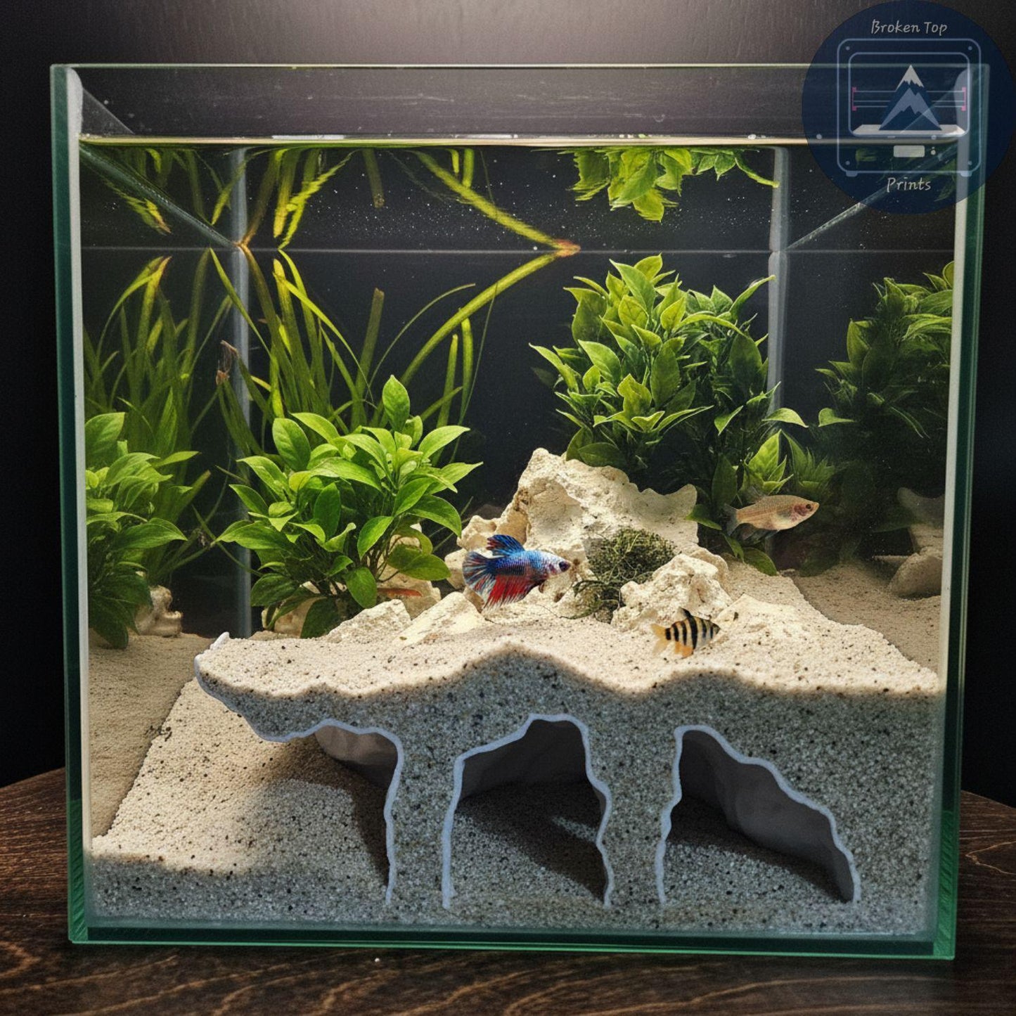 Aquarium Substrate Cave Tunnel – Orbit Grave Hide for Burrowing Fish, Shrimp & Reptiles | 3D Printed Shelter