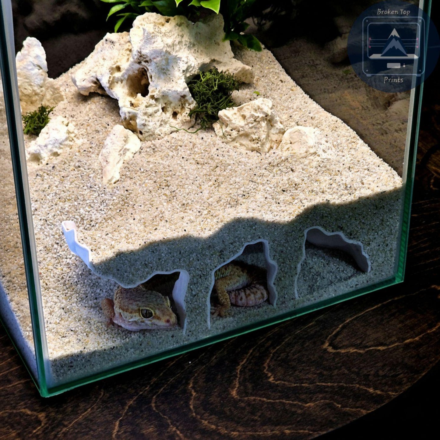 Aquarium Substrate Cave Tunnel – Orbit Grave Hide for Burrowing Fish, Shrimp & Reptiles | 3D Printed Shelter