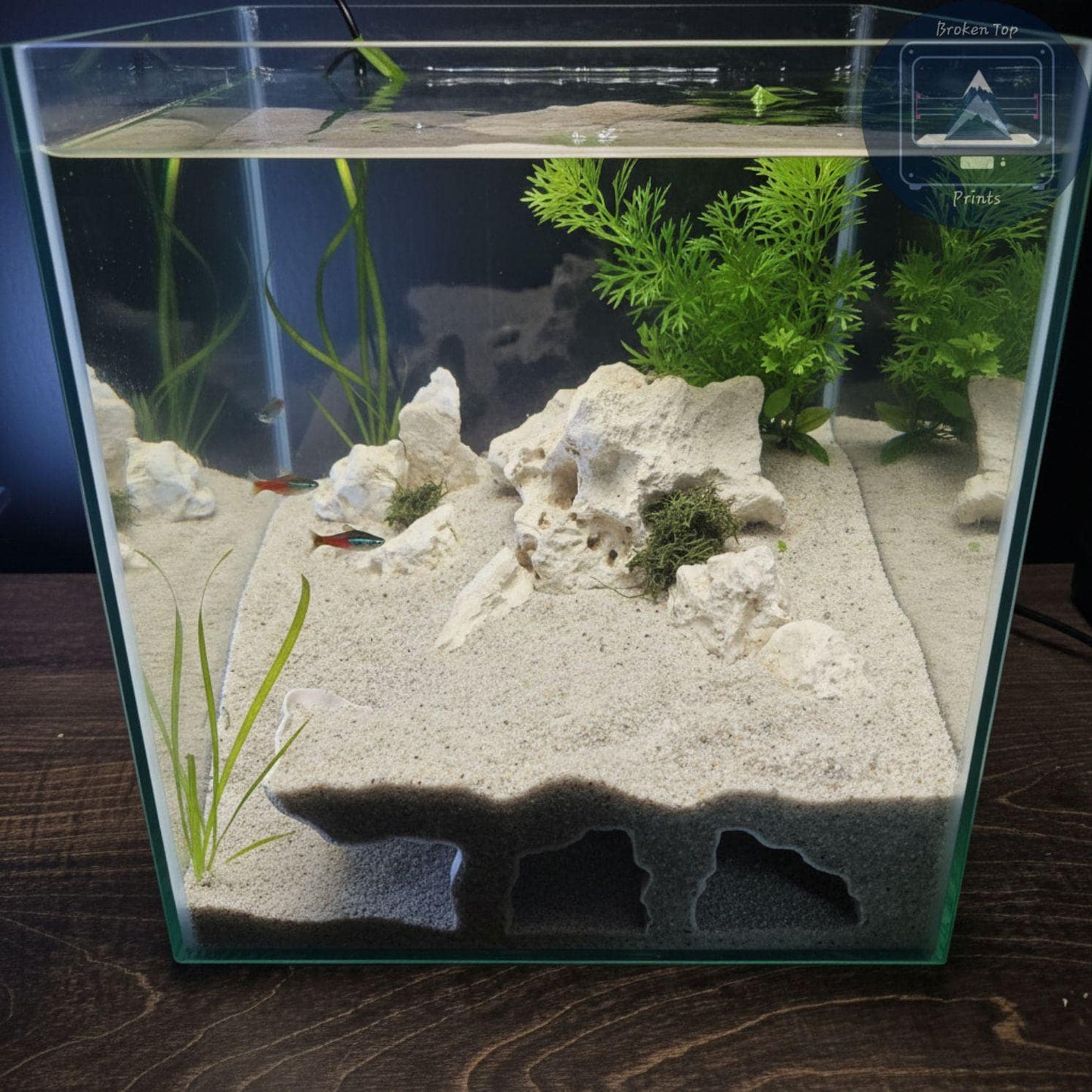 Aquarium Substrate Cave Tunnel – Orbit Grave Hide for Burrowing Fish, Shrimp & Reptiles | 3D Printed Shelter