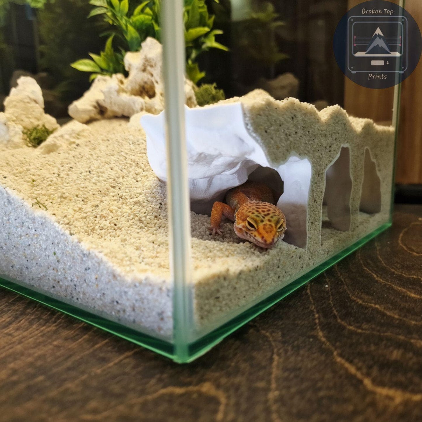 Aquarium Substrate Cave Tunnel – Orbit Grave Hide for Burrowing Fish, Shrimp & Reptiles | 3D Printed Shelter