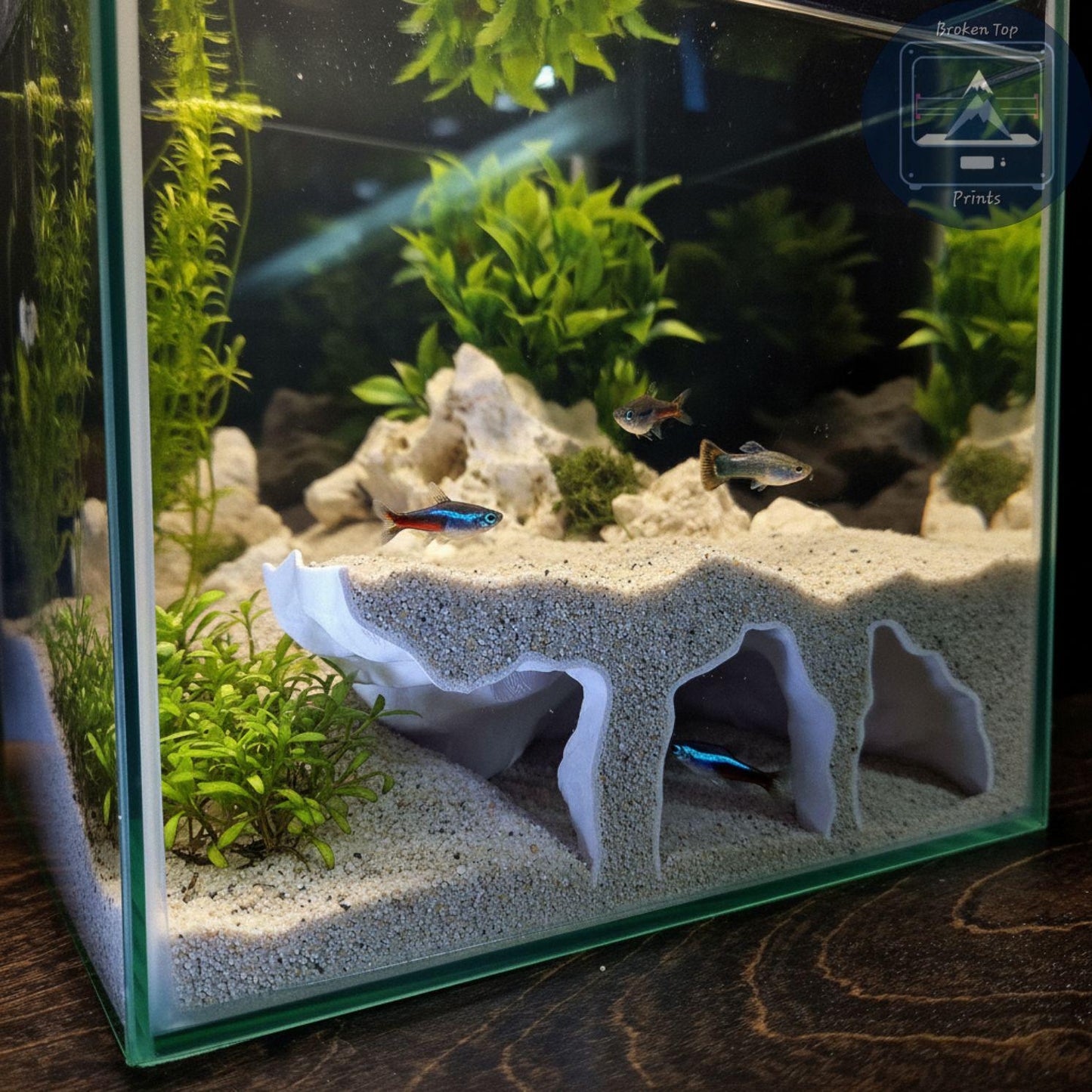Aquarium Substrate Cave Tunnel – Orbit Grave Hide for Burrowing Fish, Shrimp & Reptiles | 3D Printed Shelter