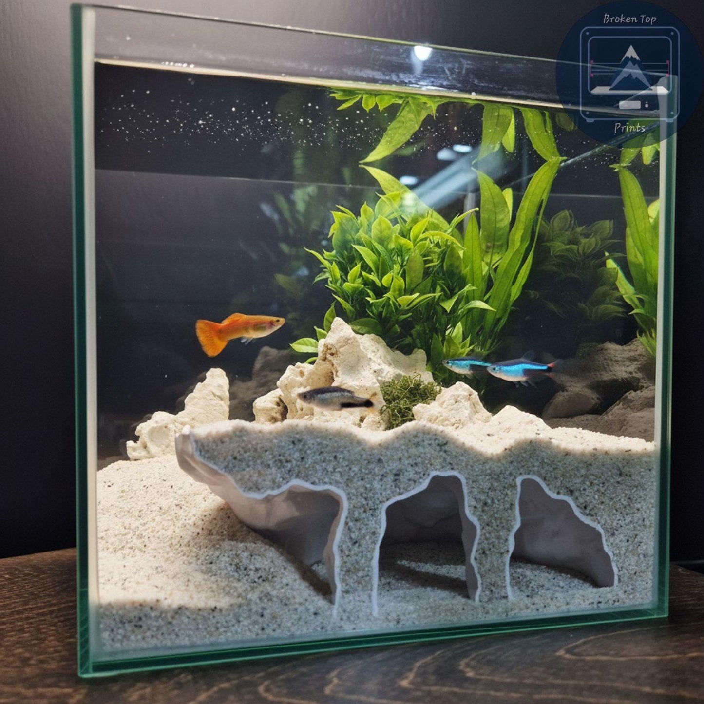 Aquarium Substrate Cave Tunnel – Orbit Grave Hide for Burrowing Fish, Shrimp & Reptiles | 3D Printed Shelter