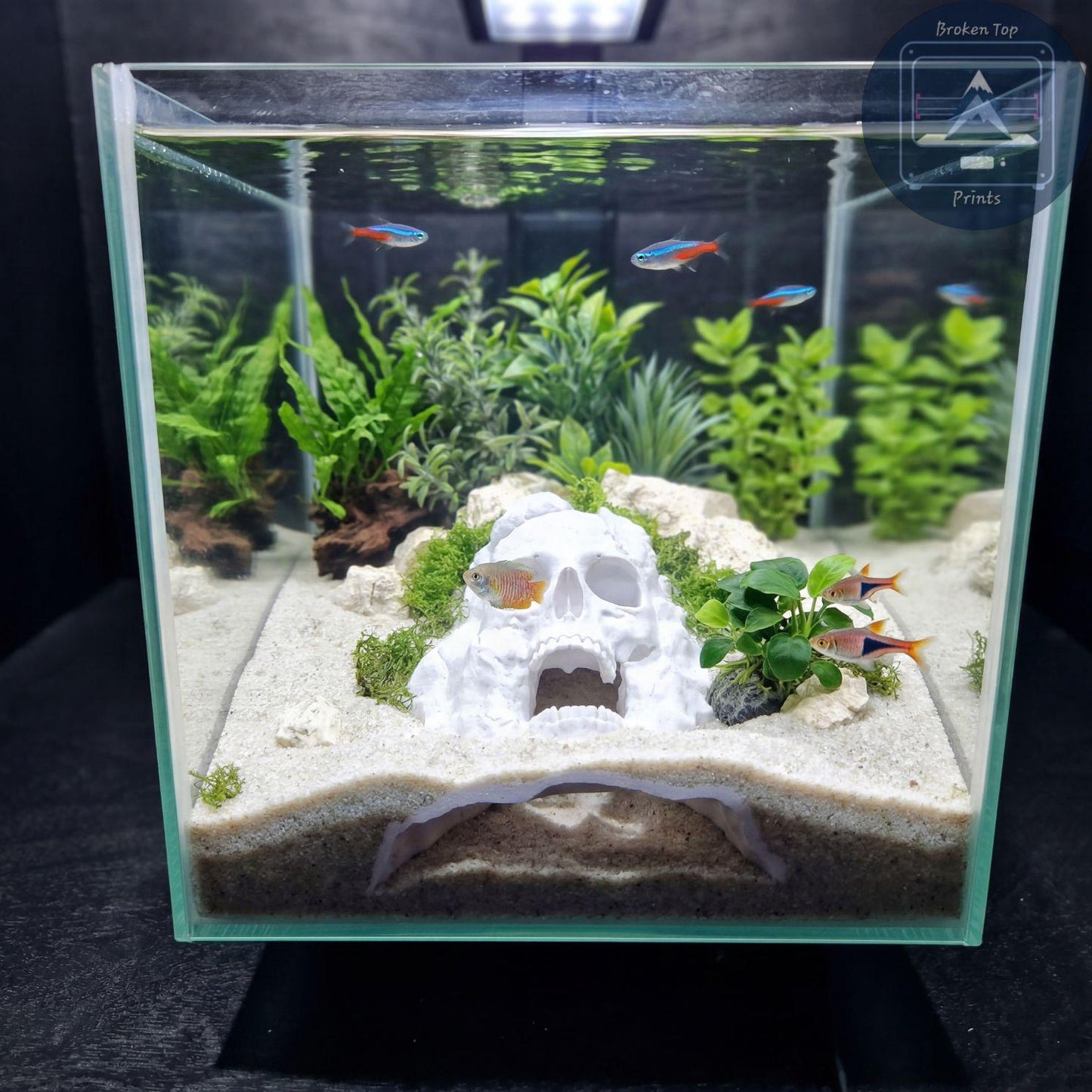 Dead Man’s Grave Aquarium Hide – Underground Skull Cave Tunnel for Fish & Shrimp | 3D Printed Tank Decor