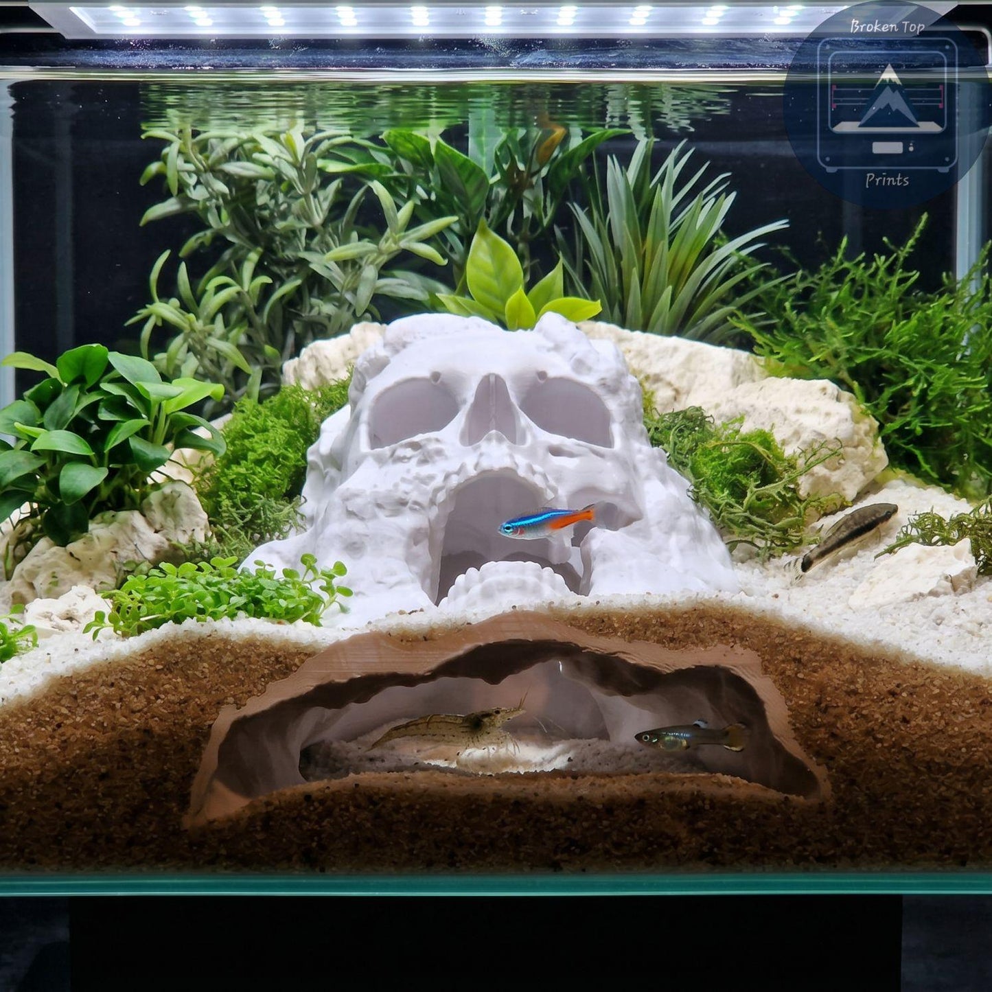 Dead Man’s Grave Aquarium Hide – Underground Skull Cave Tunnel for Fish & Shrimp | 3D Printed Tank Decor