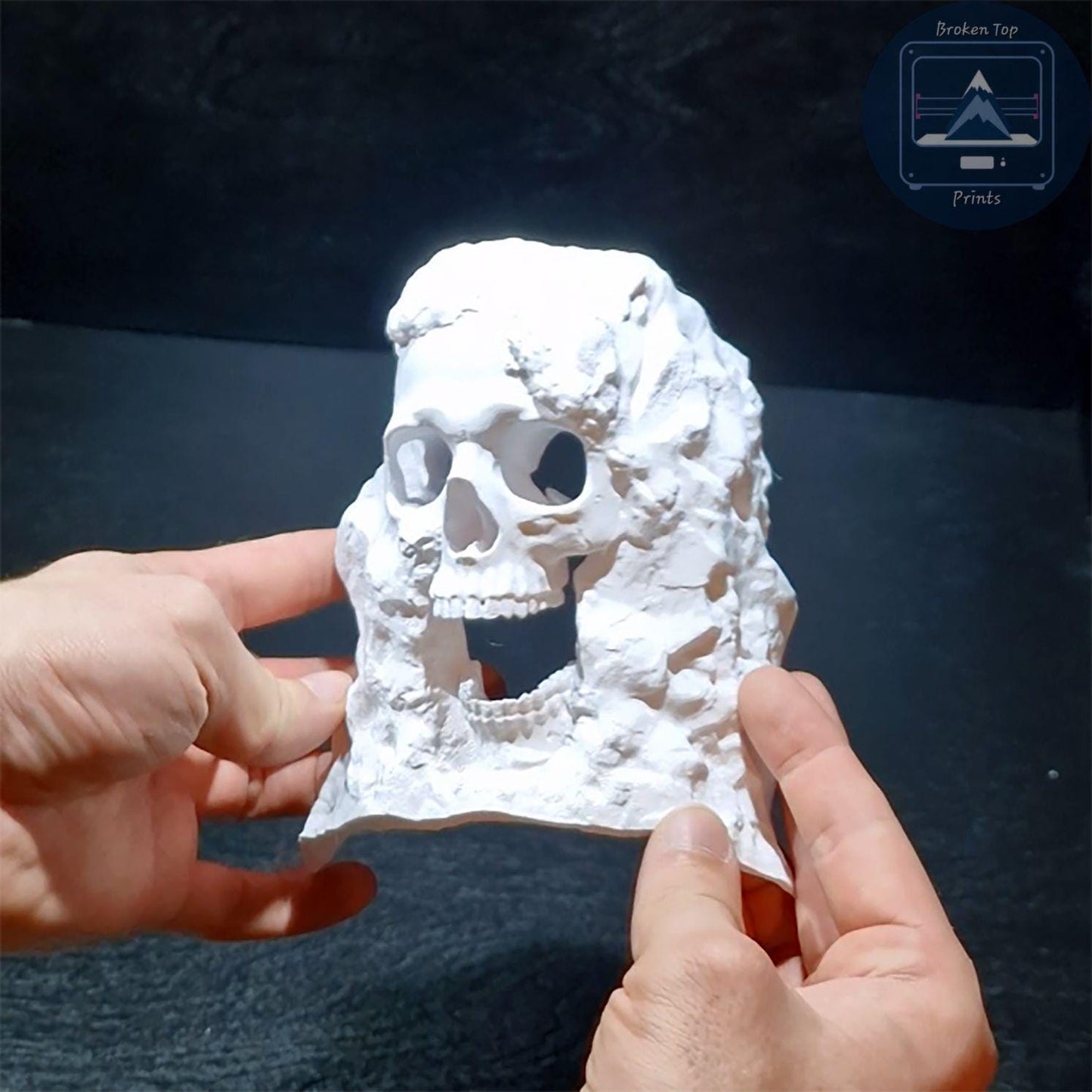 Dead Man’s Grave Aquarium Hide – Underground Skull Cave Tunnel for Fish & Shrimp | 3D Printed Tank Decor