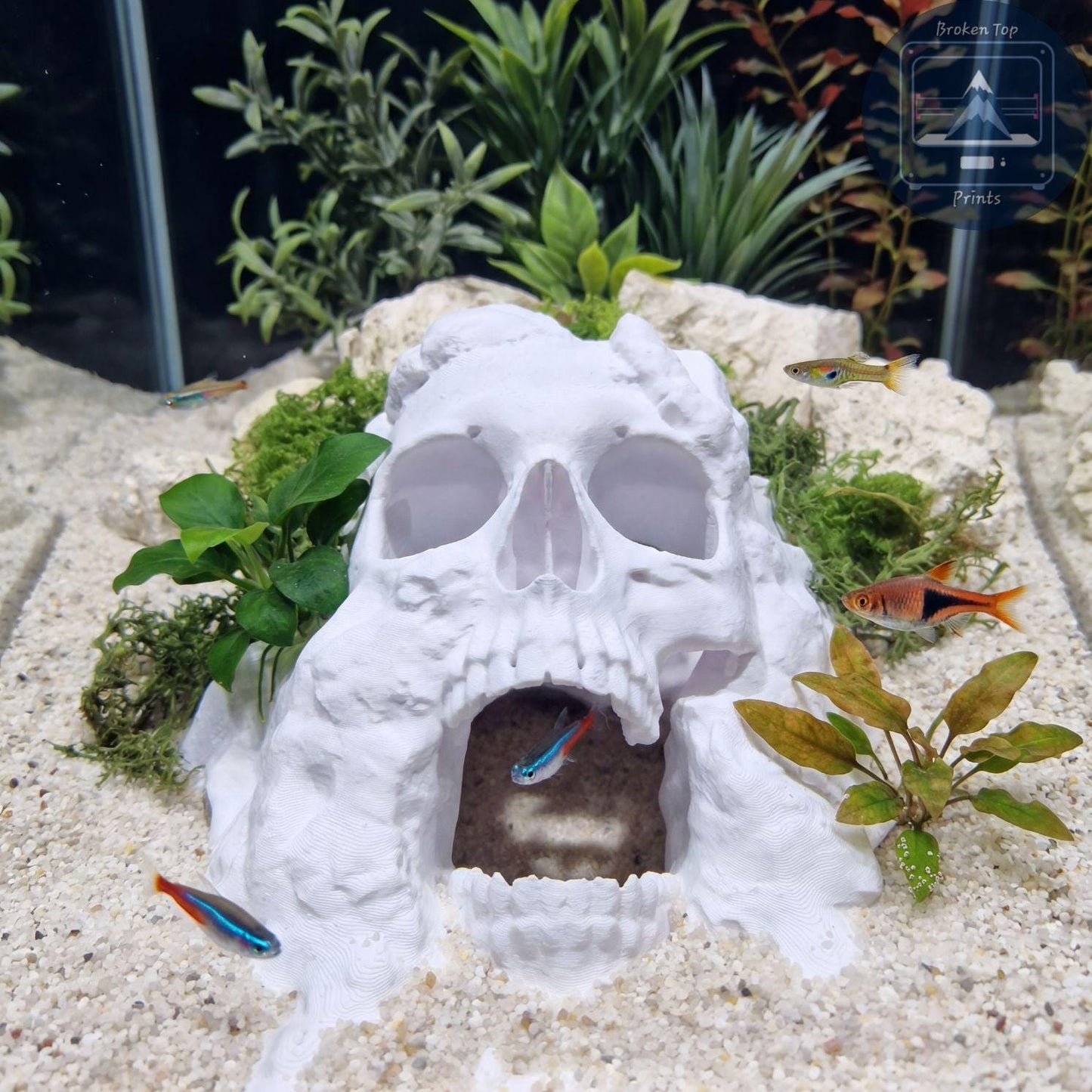 Dead Man’s Grave Aquarium Hide – Underground Skull Cave Tunnel for Fish & Shrimp | 3D Printed Tank Decor