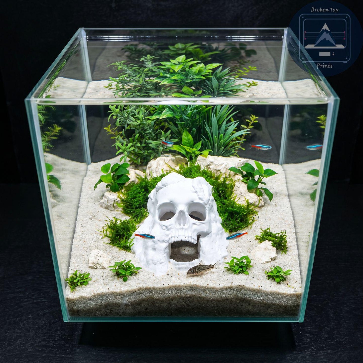 Dead Man’s Grave Aquarium Hide – Underground Skull Cave Tunnel for Fish & Shrimp | 3D Printed Tank Decor