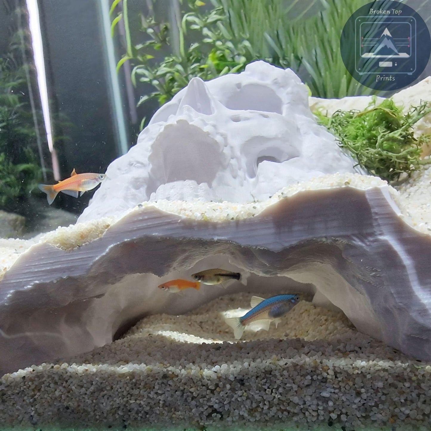 Dead Man’s Grave Aquarium Hide – Underground Skull Cave Tunnel for Fish & Shrimp | 3D Printed Tank Decor