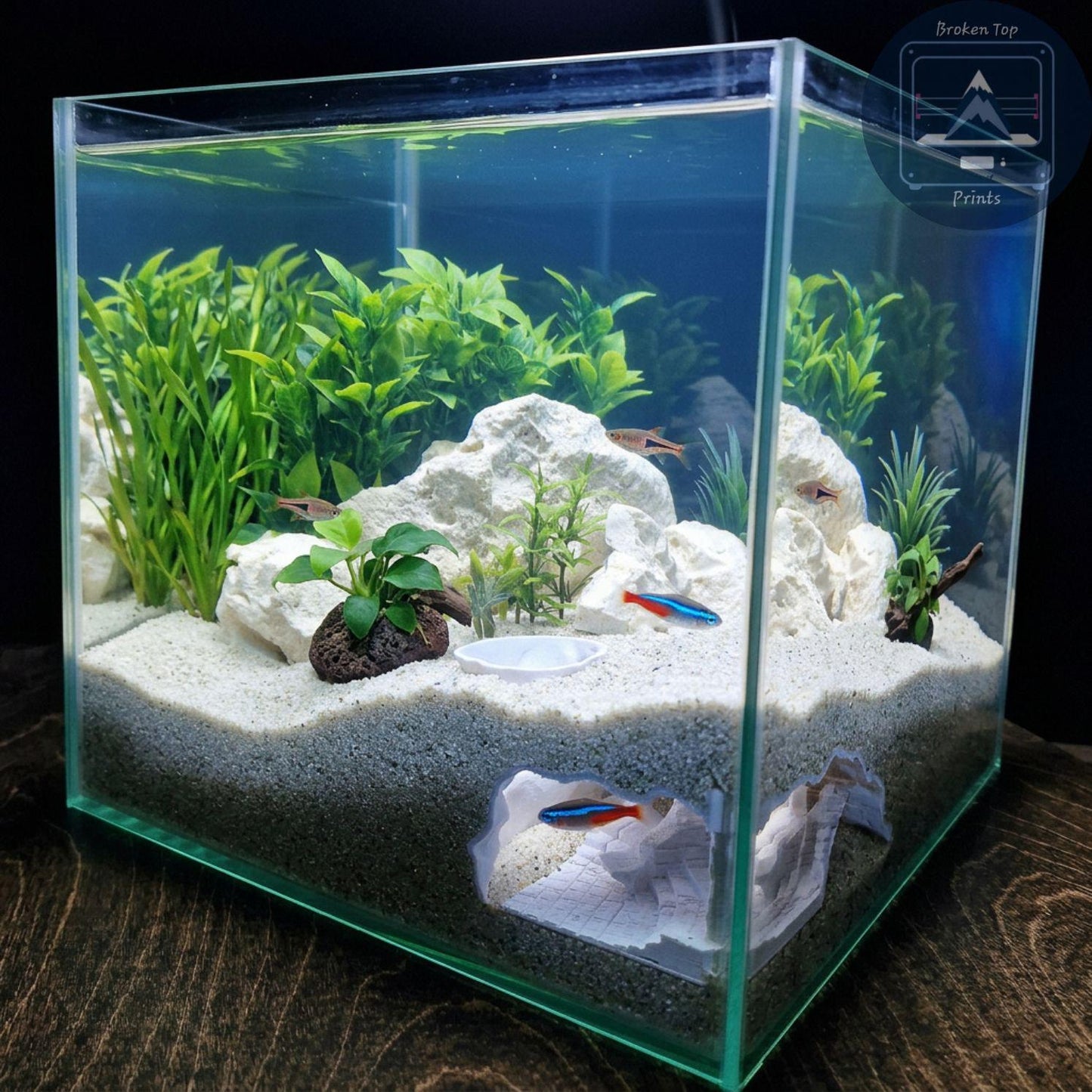 Aquarium Cave, Substrate Tunnel | Old Ruins Underground Hideout | 3D Printed PETG Fish Shelter for Shrimp, Bettas & Plecos