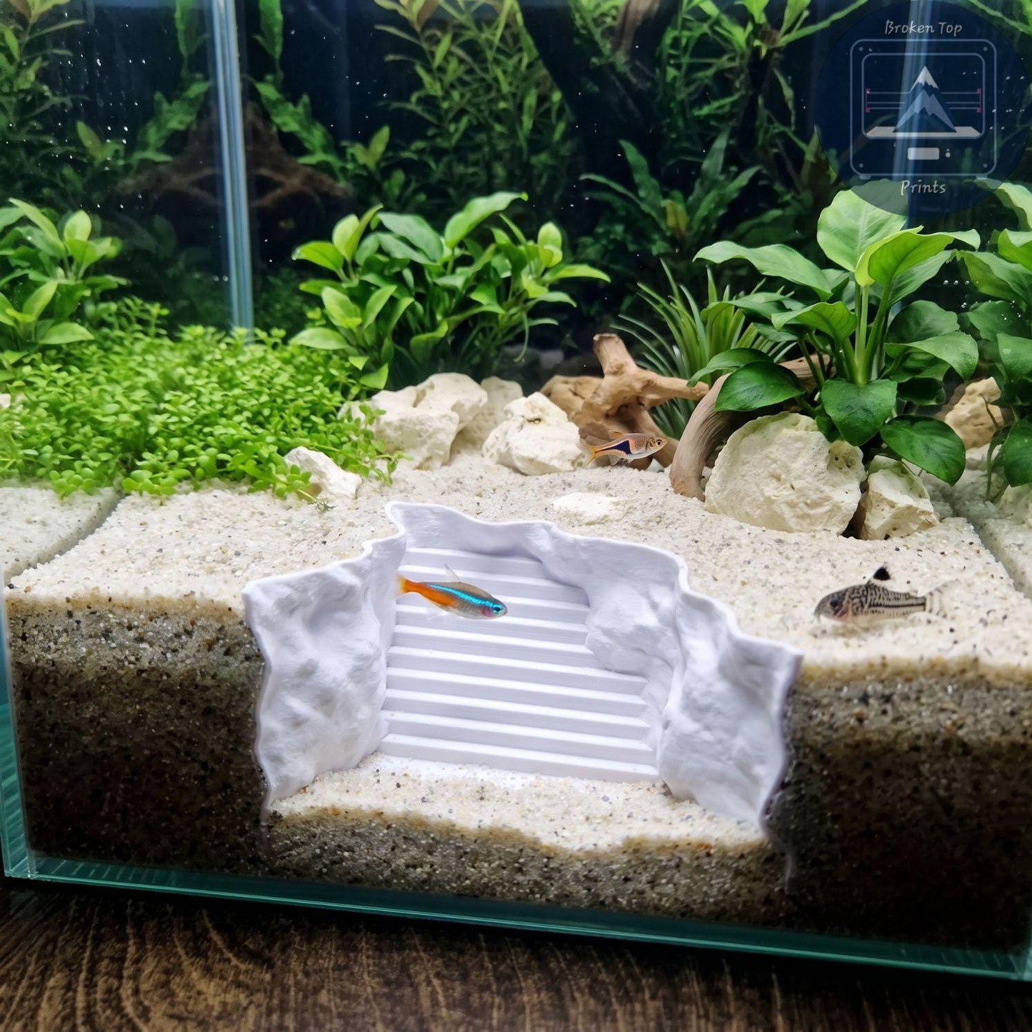 Aquarium Cave, Substrate Tunnel and Fish Shelter | Seaside Stairway Hide, 3D Printed PETG Aquascape Décor for Shrimp & Plecos